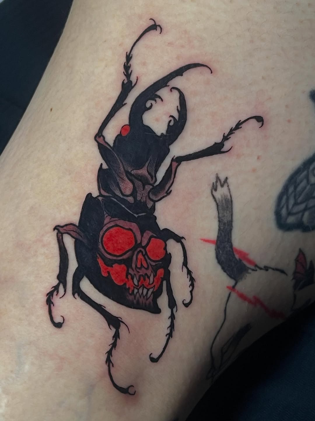 Stag beetle with skull head dark art tattoo on the forearm by Joe Moreira