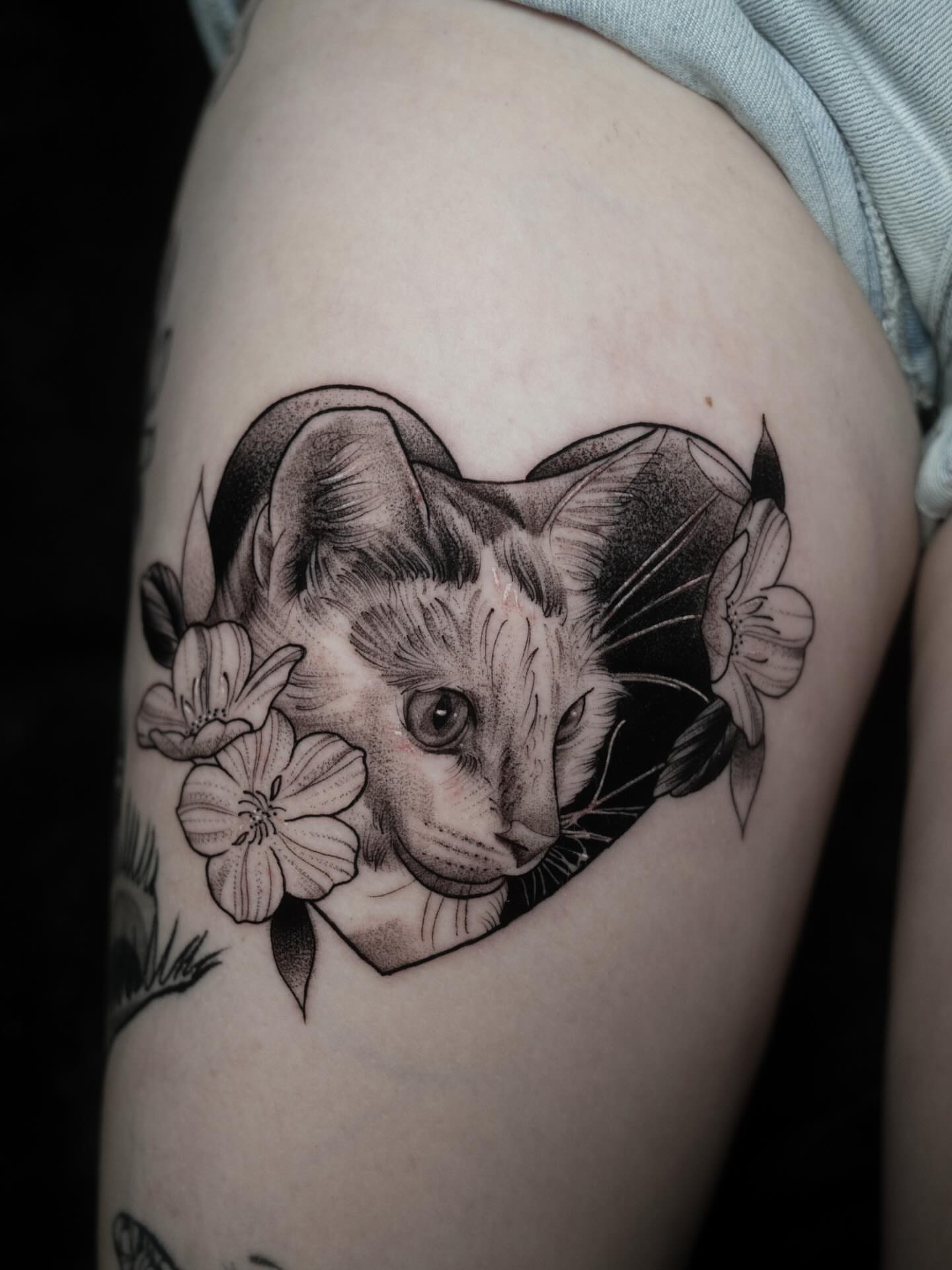 Cat with flowers dotwork tattoo on the shoulder by Robert Graye