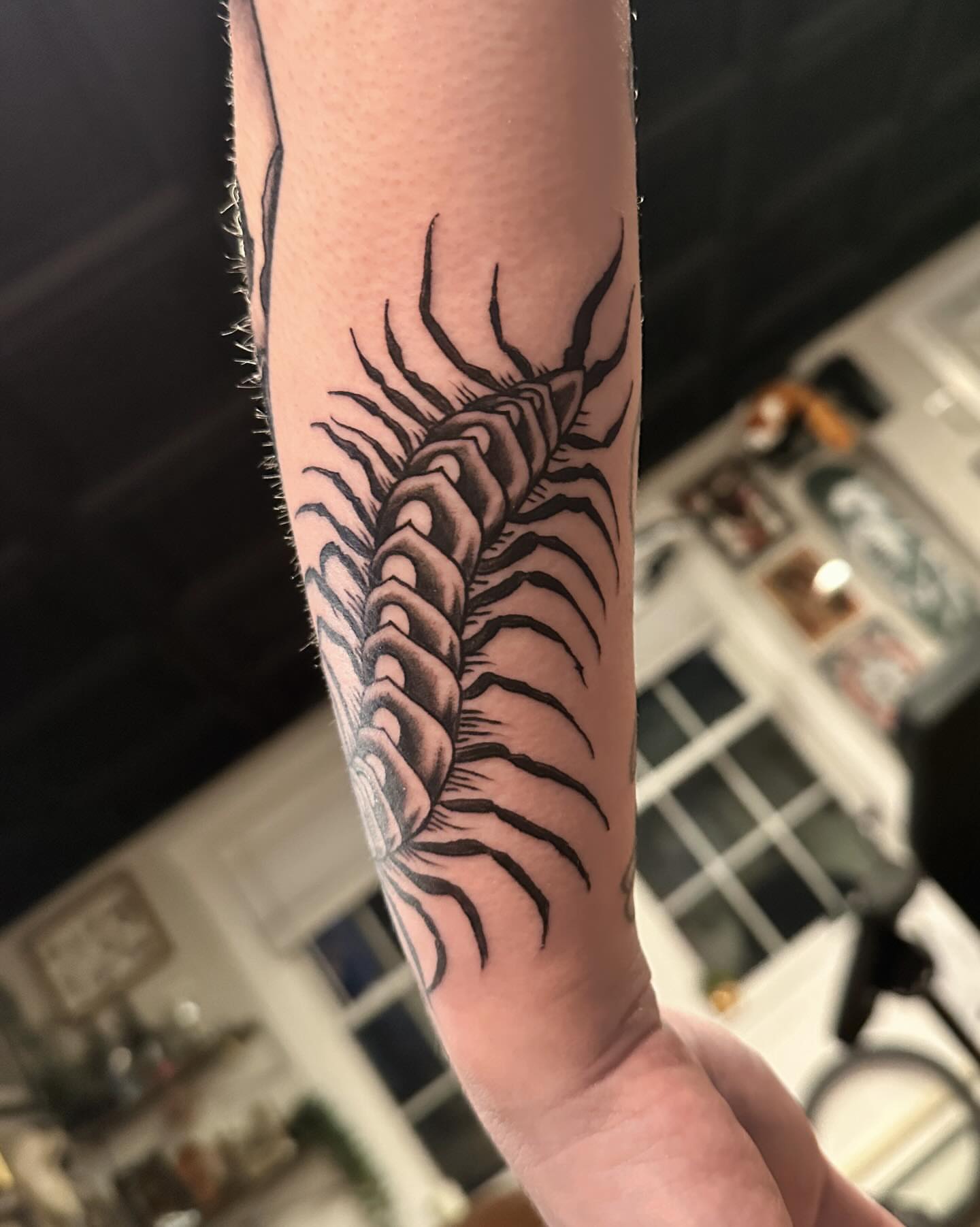 Centipede black and grey tattoo on the forearm by Craig Ryans