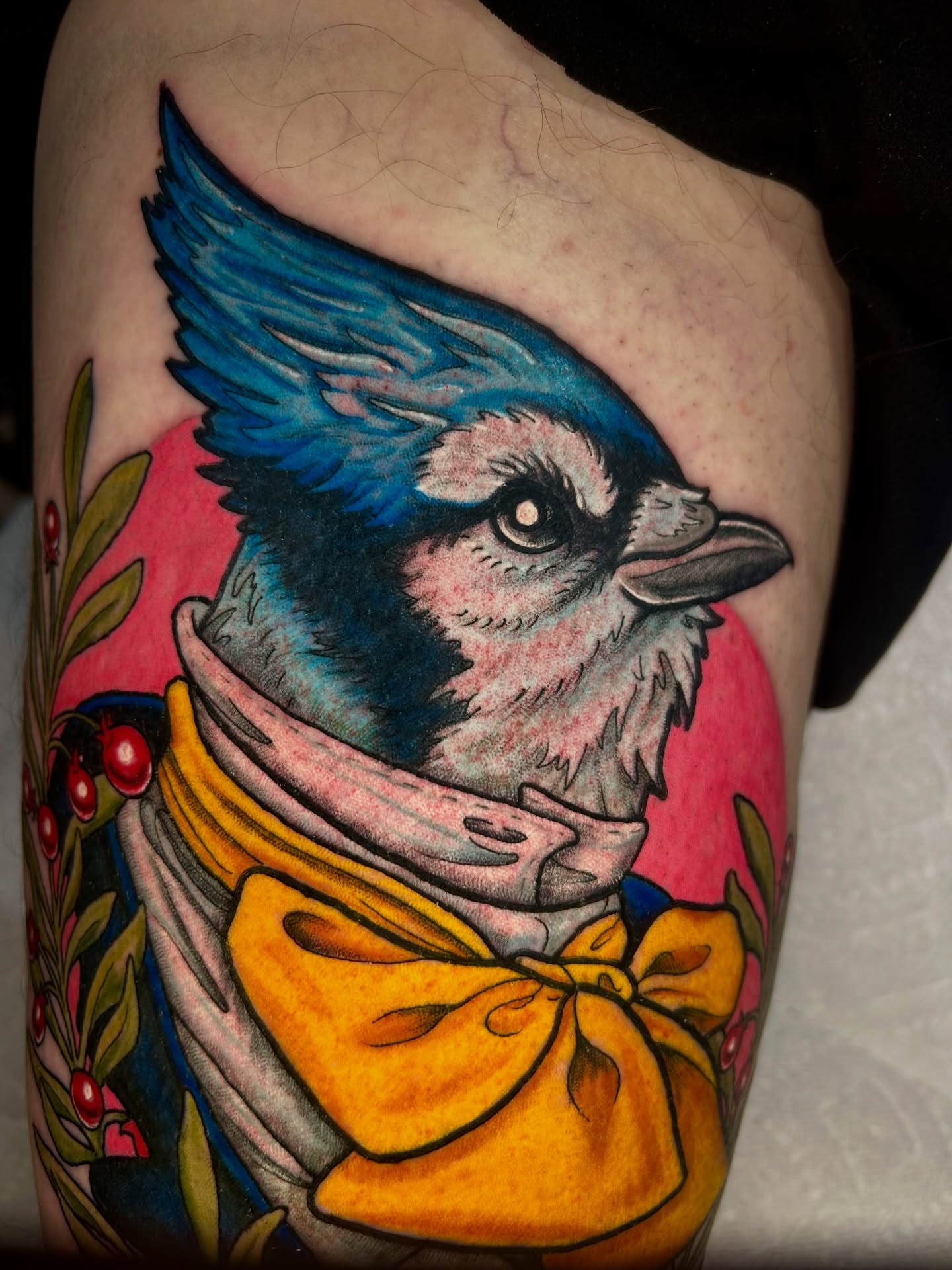Blue jay American traditional tattoo on the forearm by 𝔎𝔞𝔱𝔦𝔢 𝔚𝔦𝔱𝔱𝔴𝔢𝔯