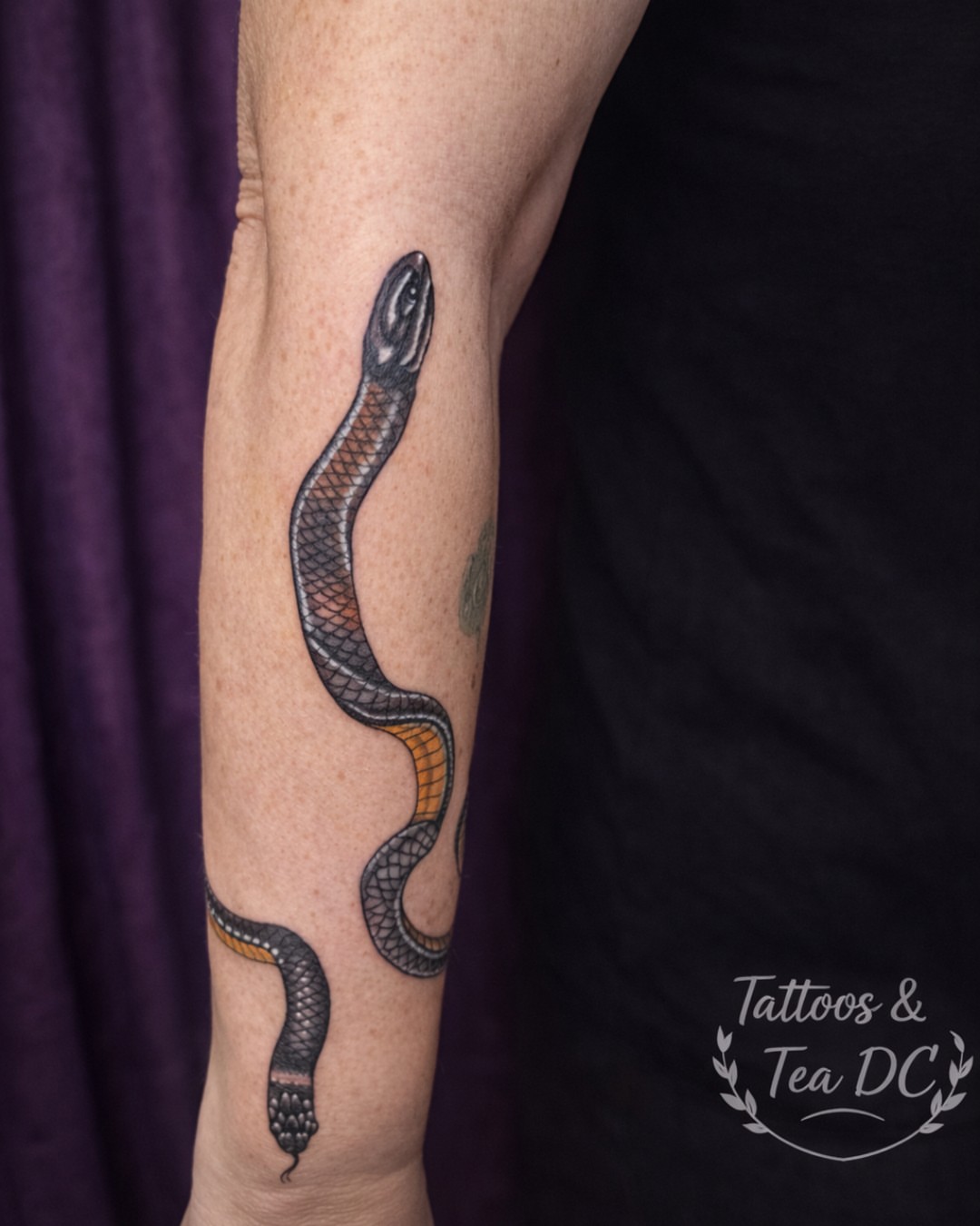 Snake realism tattoo on the forearm by Tattoos & Tea DC, Arlington, Virginia
