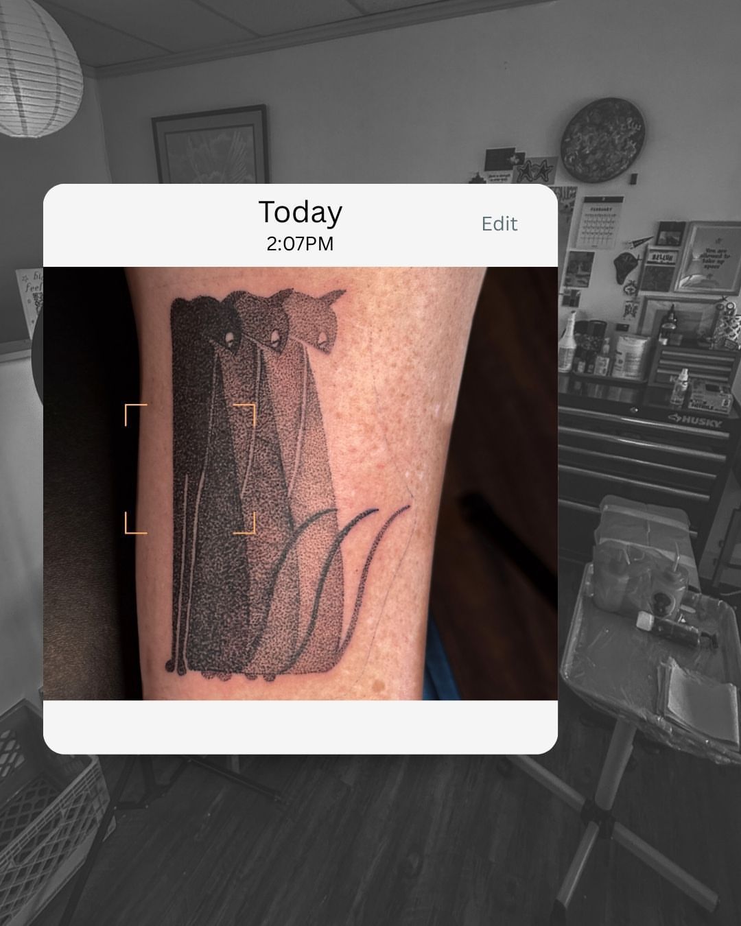 Bat dotwork tattoo on the forearm by Bella - Austin Tattoo Artist ₓ˚. ୭