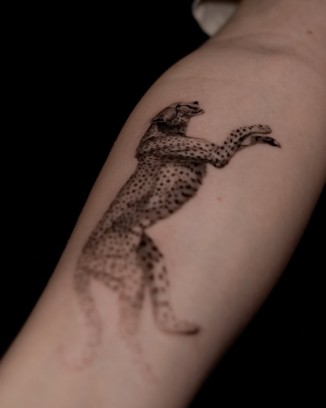 Tattoo by @turner_tattoos — realism, black_and_grey