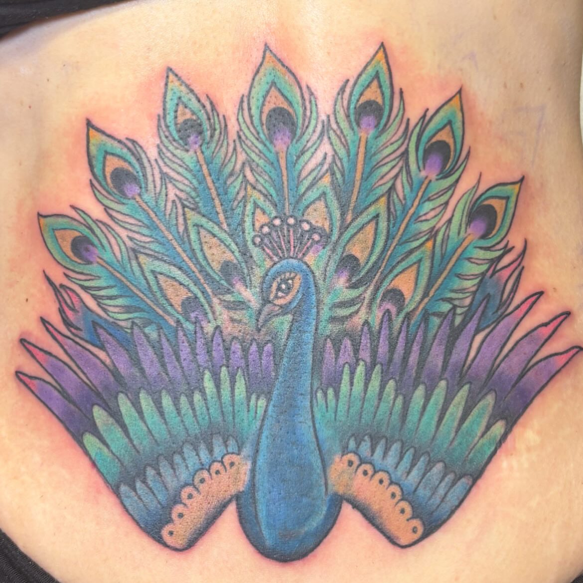 Peacock new school tattoo on the back by Scottbarrytattoos@gmail.com