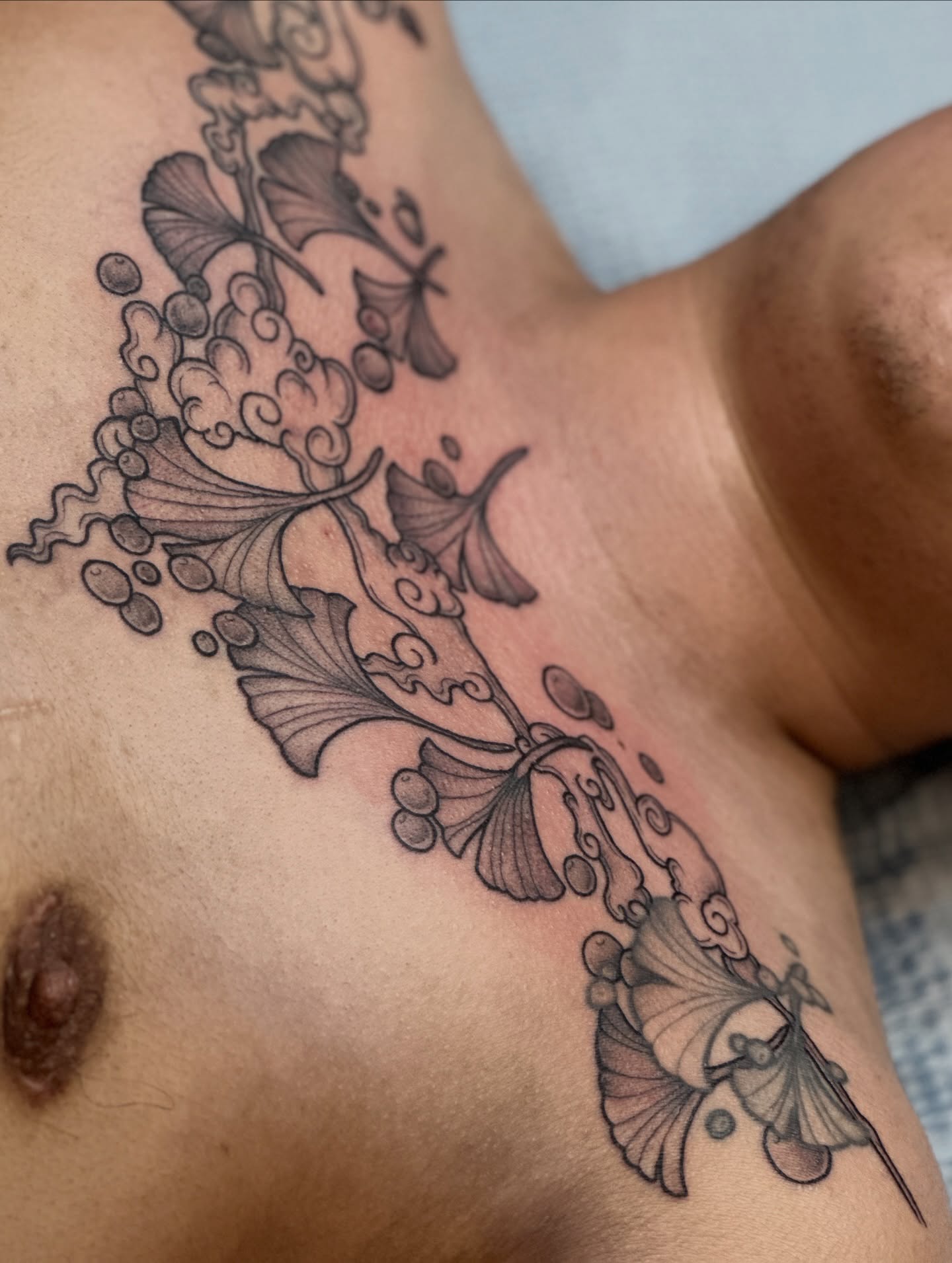 Gingko leaves black and grey tattoo on the chest by Gabrielle Brodman 🎀 Raleigh-Durham Tattoo