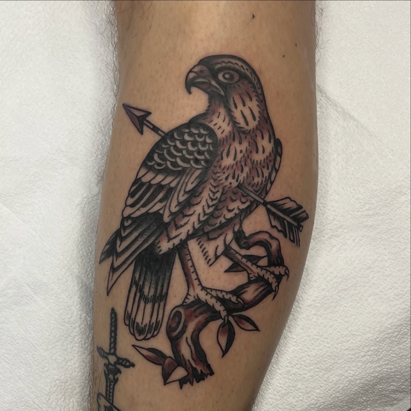 Hawk with arrow black and grey tattoo on the forearm by @brandonhuckabey, Denver, Colorado