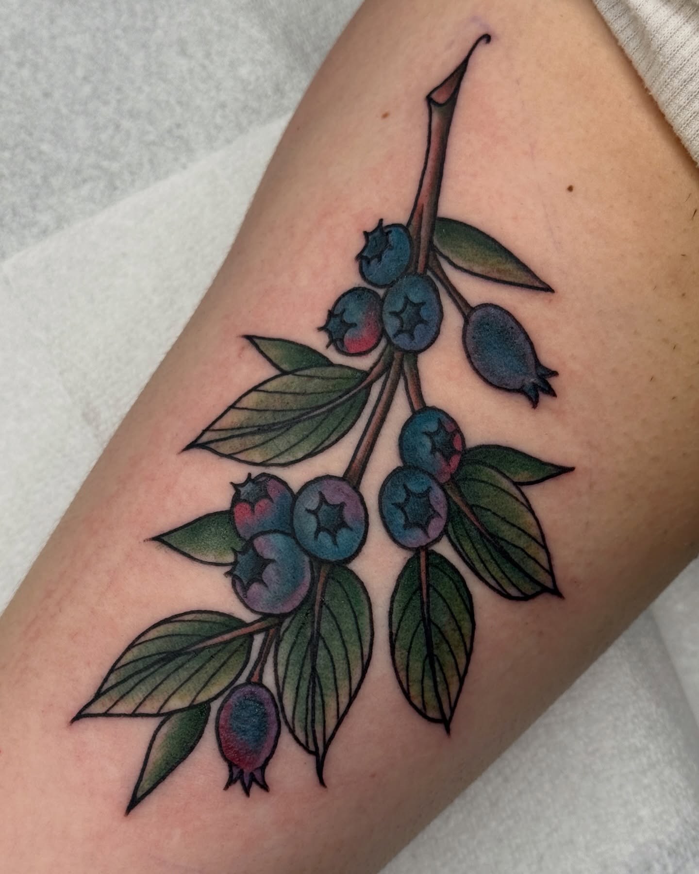 Blueberries American traditional tattoo on the forearm by Bre Grover, Vancouver, British Columbia