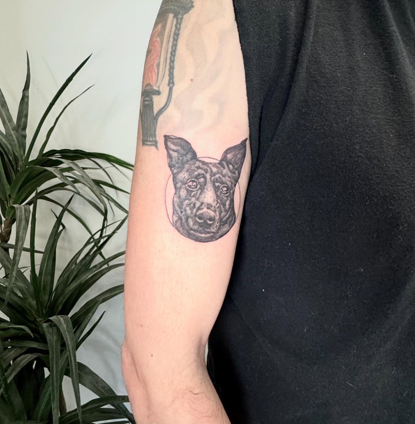 Dog head realism tattoo on the forearm by C.J. Pennington