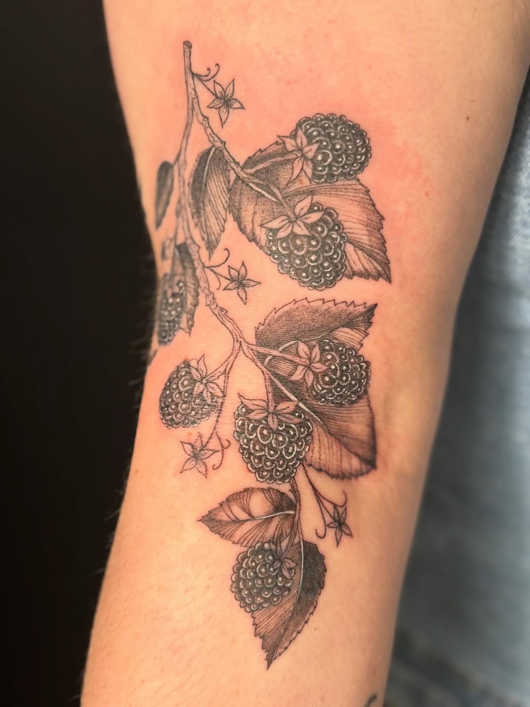 Raspberry branch dotwork tattoo on the forearm by Jocelyne ♡