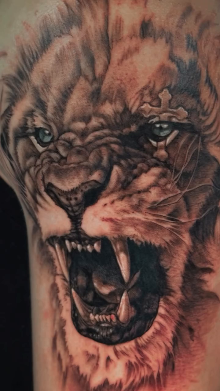 Lion realism tattoo by shane baker