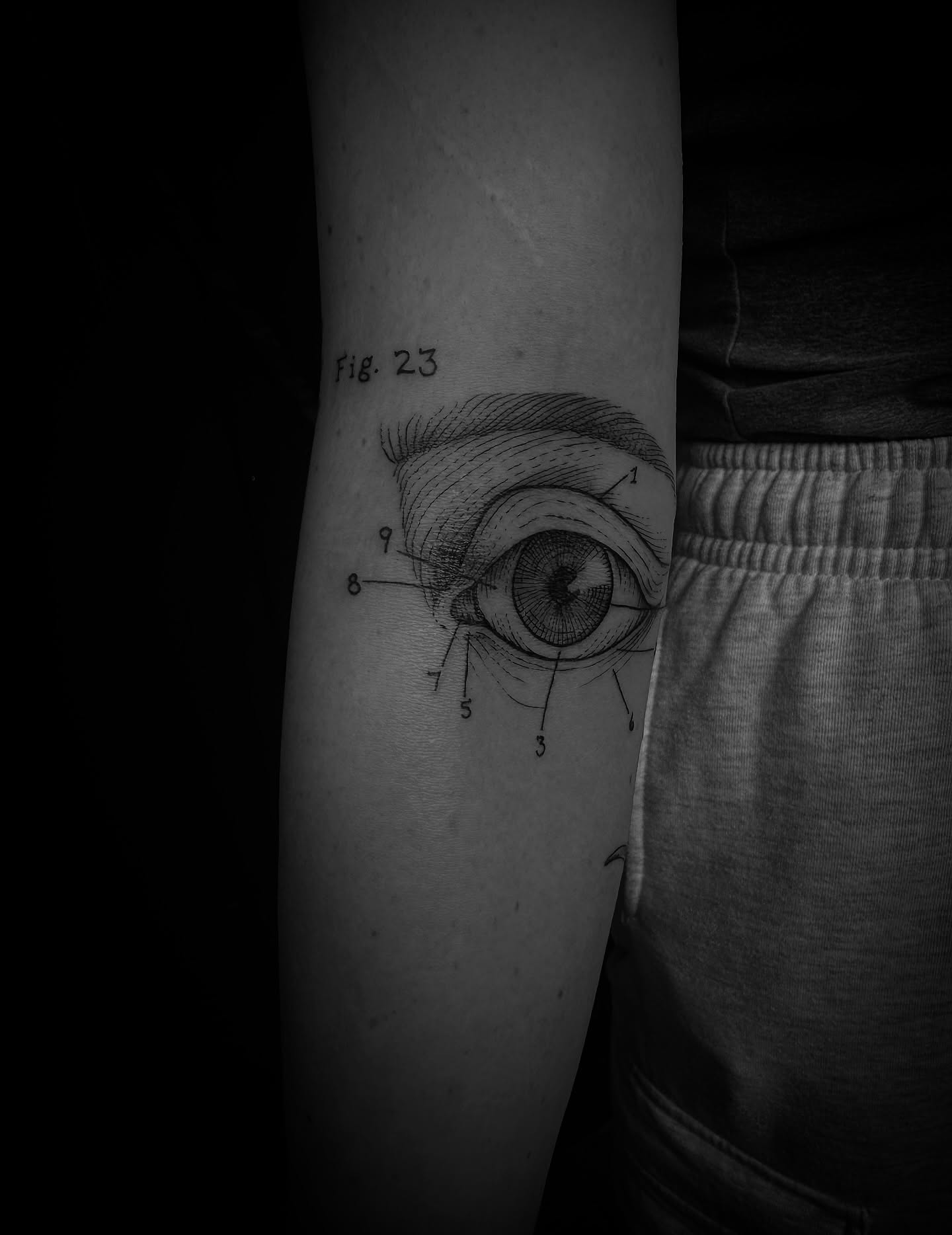 Eye anatomy realism tattoo on the forearm by Desireé Keys, Midvale, Utah