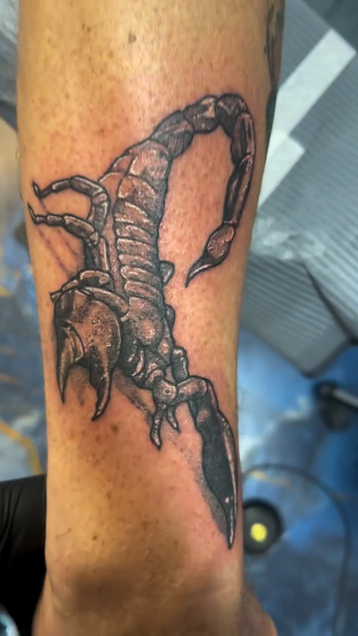 Scorpion tattoo fine line tattoo on the forearm by Vicent