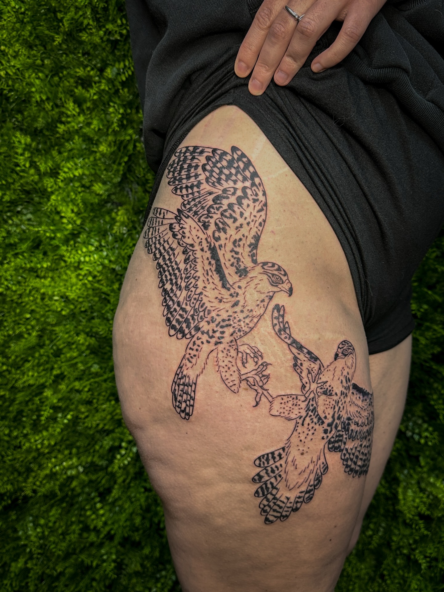 Hawk and falcon black and grey tattoo on the thigh by 𝑰𝒍𝒍𝒖𝒔𝒕𝒓𝒂𝒕𝒊𝒗𝒆 𝑵𝒂𝒕𝒖𝒓𝒆 𝑻𝒂𝒕𝒕𝒐𝒐 𝑨𝒓𝒕𝒊𝒔𝒕
