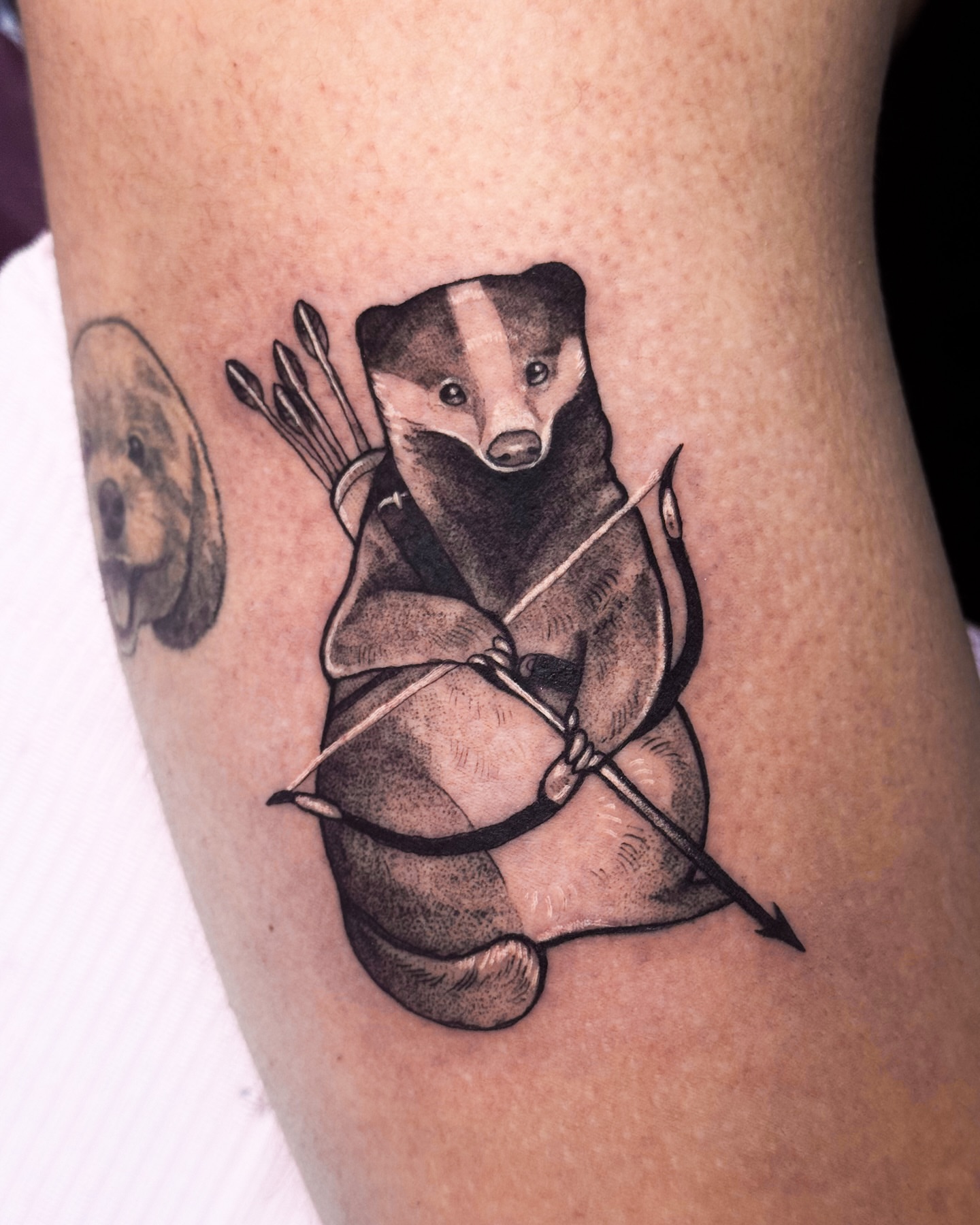 Badger with arrows black and grey tattoo on the forearm by Yasemin πΉπ·π¬π§ San Jose based tattoo artist