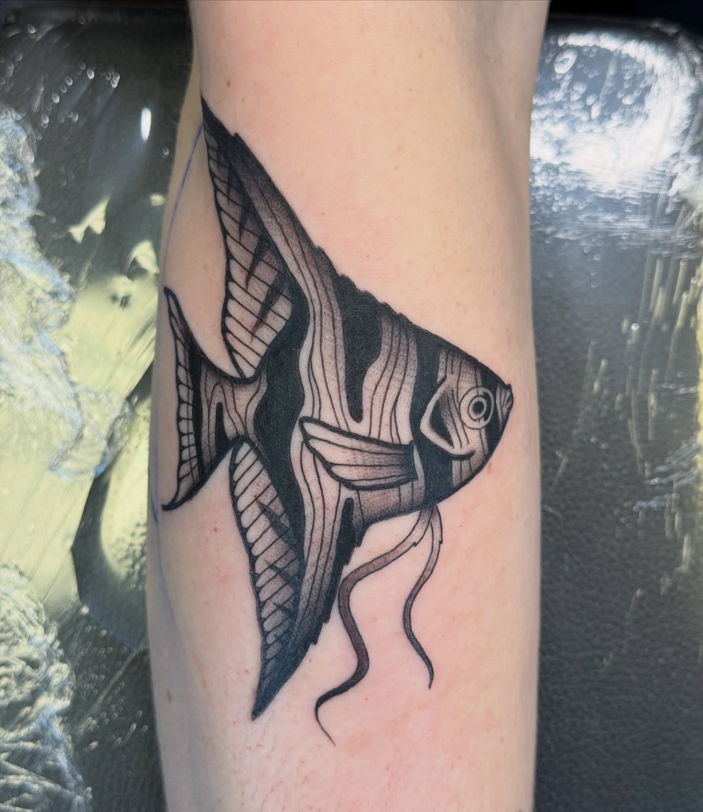 Angelfish black and grey tattoo on the forearm by Kelsey Louis, Iowa City, Iowa