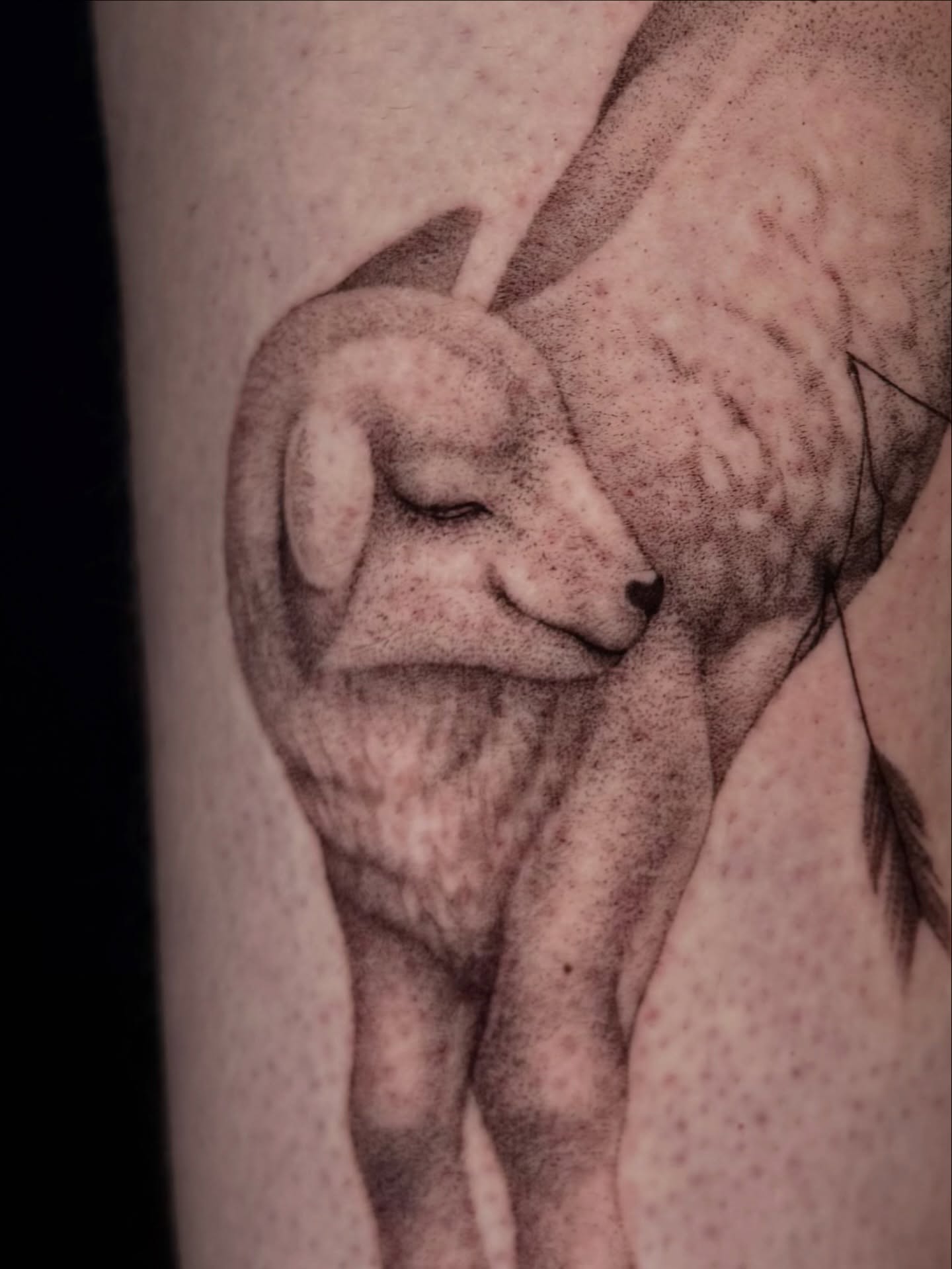 Tattoo by @dnatattoos_ — dotwork, realism