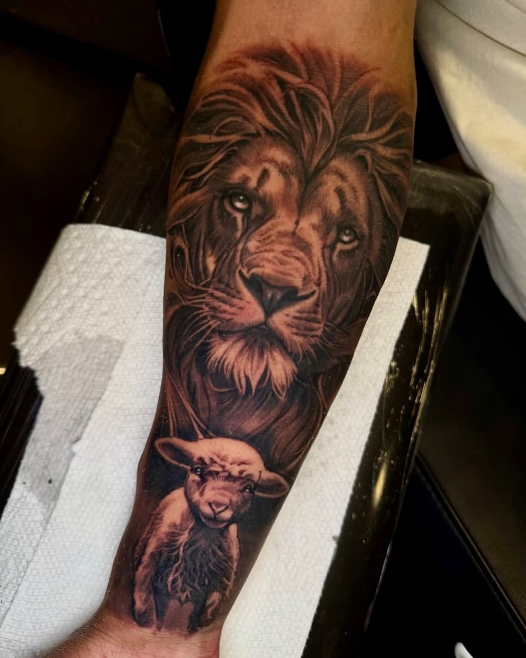 Lion and lamb realism tattoo on the forearm by ⚜️Felipe Parada⚜️