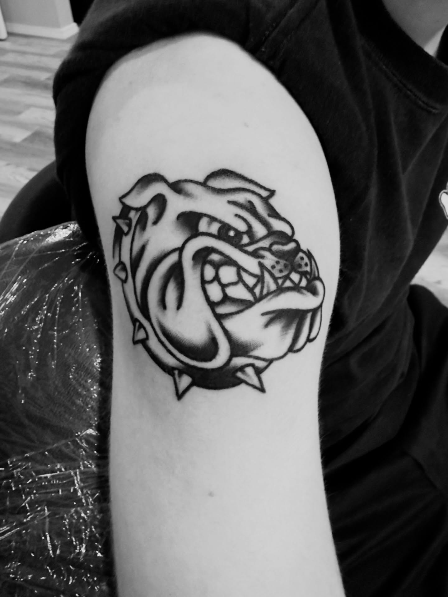 Bulldog head American traditional tattoo on the forearm by Jimmy Kelley
