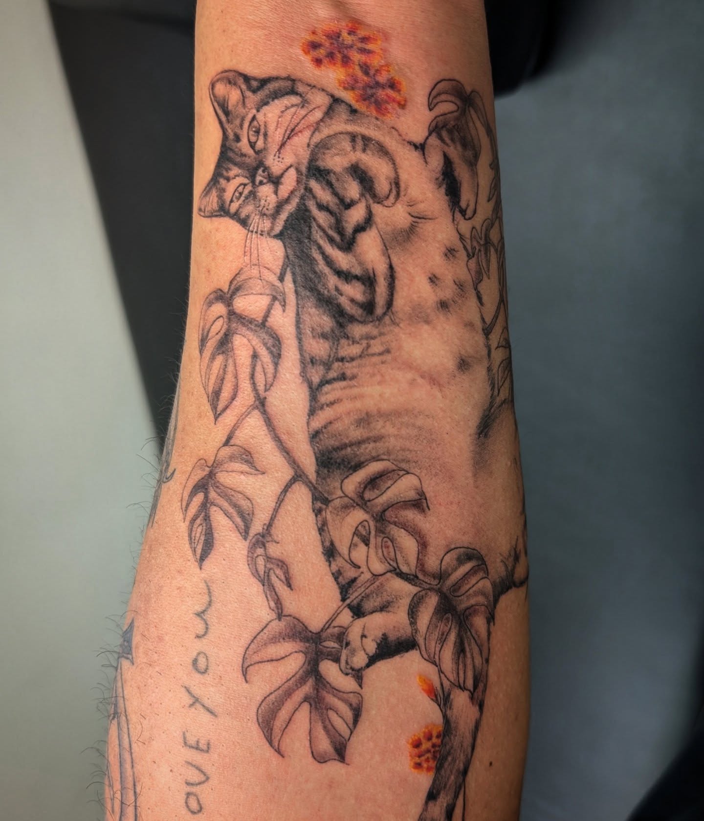 Cat climbing plant realism tattoo on the forearm by Katherine