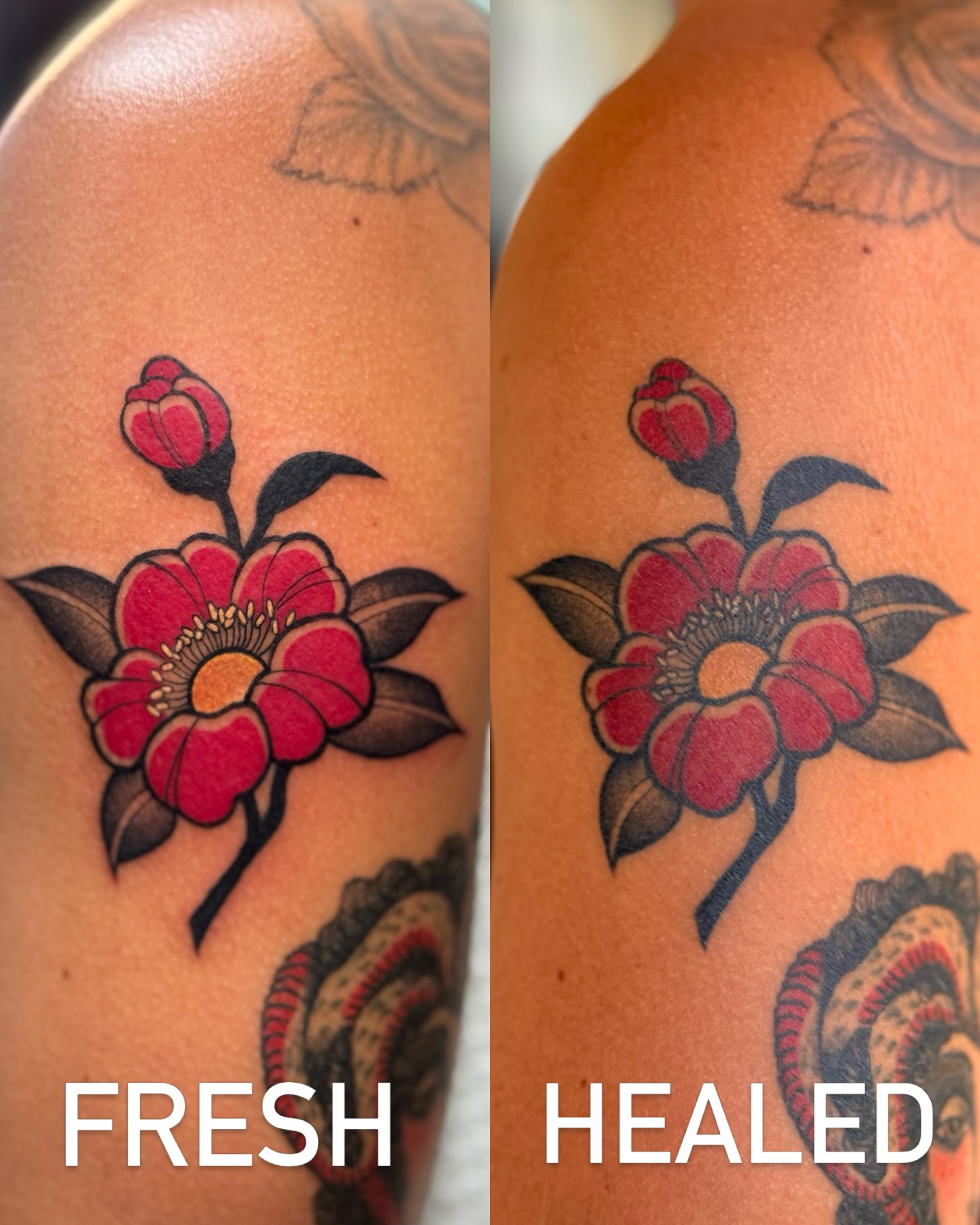 Tattoo by @livingsticker β american_traditional