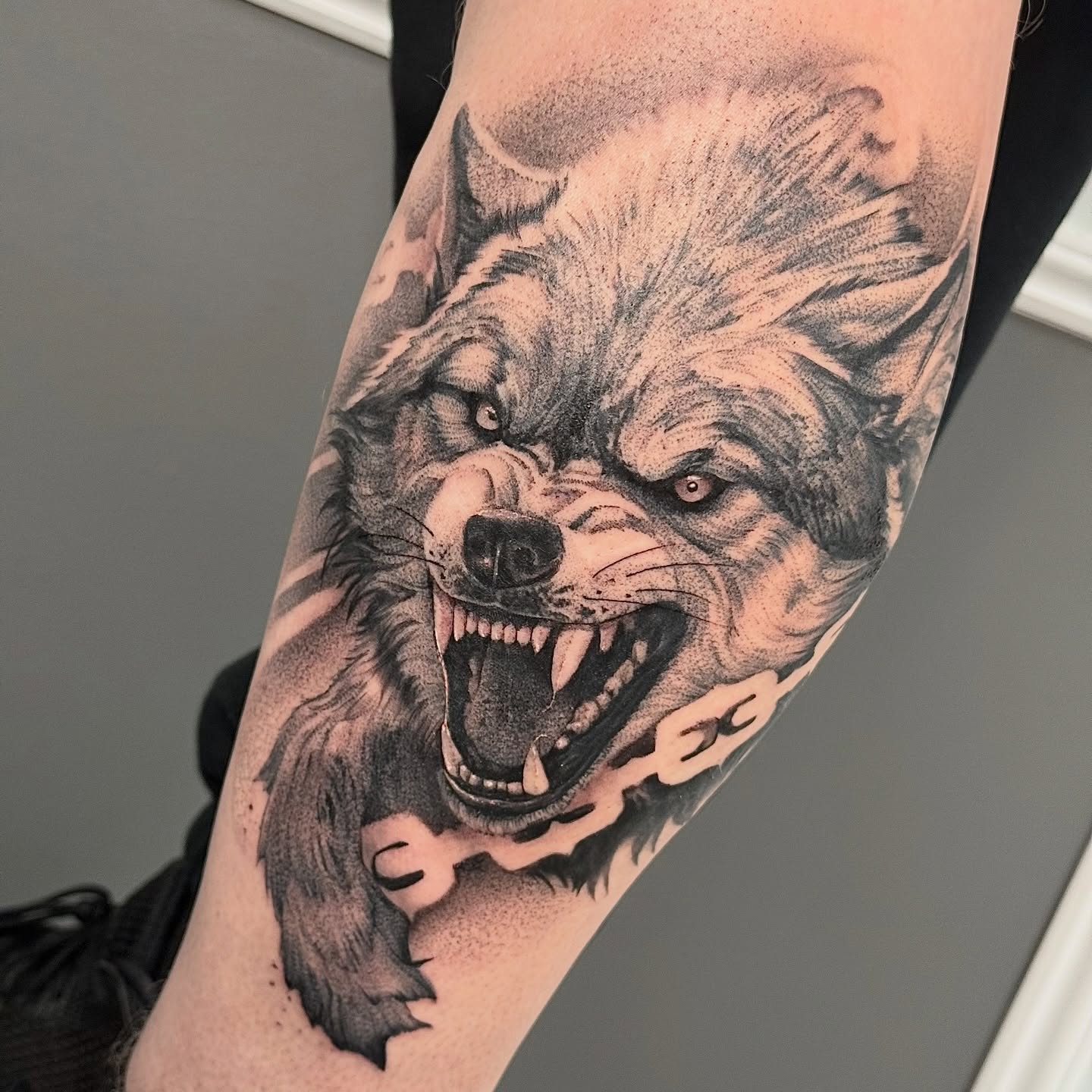 Angry dog realism tattoo on the forearm by Justin Hay