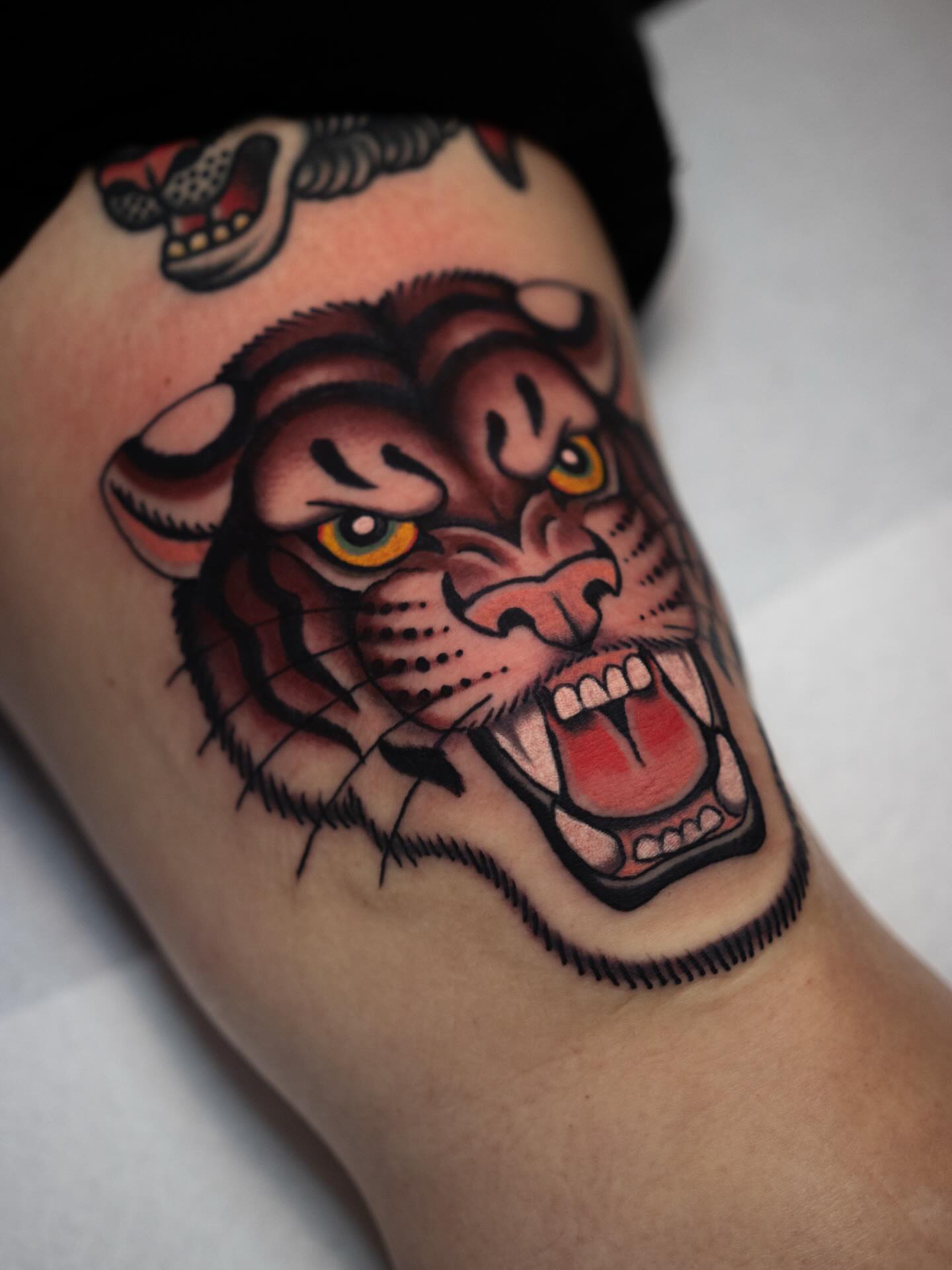 Tiger American traditional tattoo on the forearm by Danny Derrick, San Luis Obispo, California