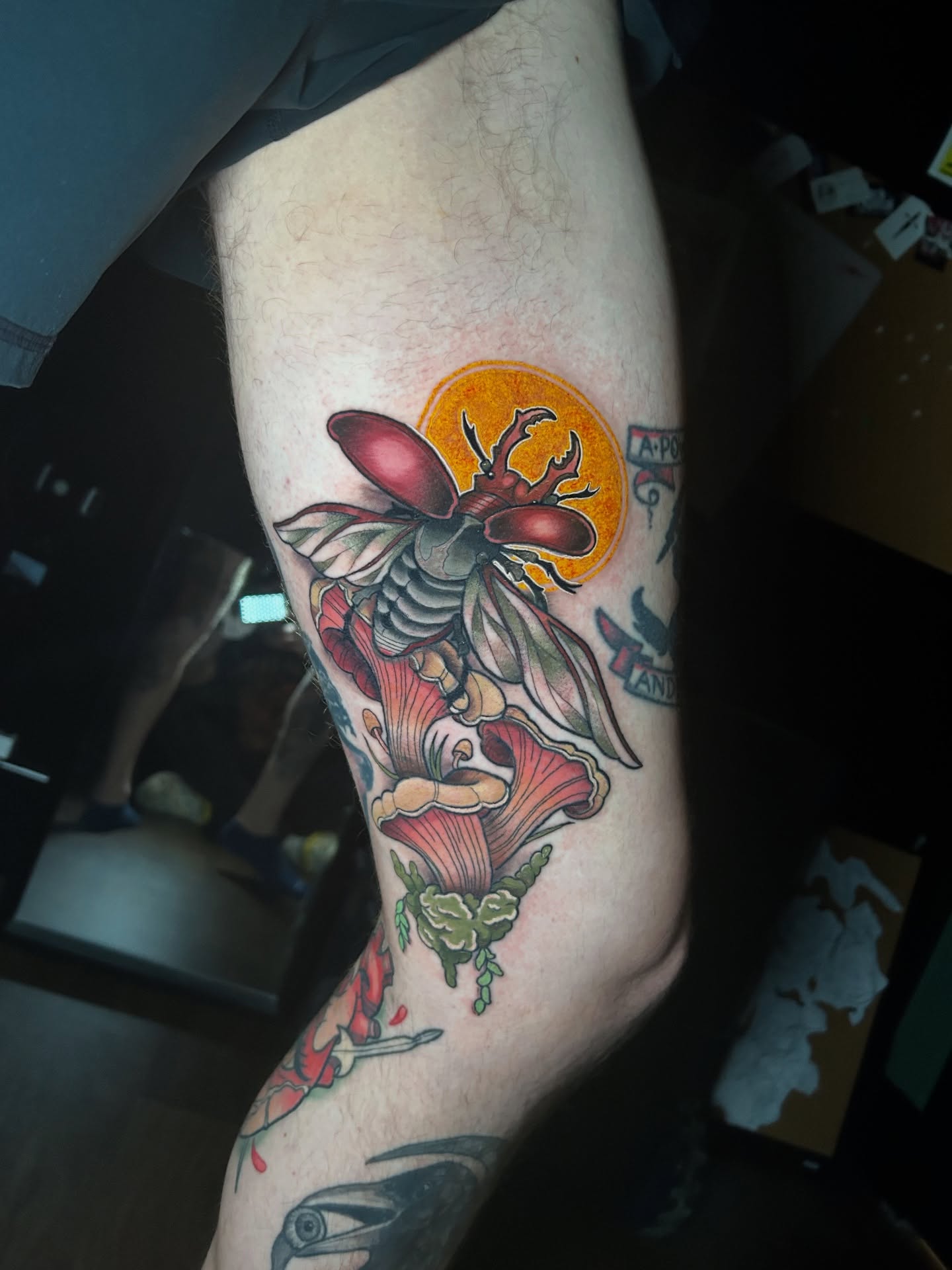 Beetle and flower American traditional tattoo on the forearm by ⚡️𝑺𝑻𝑬𝑽𝑬 𝑩𝑼𝒀𝑨𝑪𝑯𝑬𝑲⚡️