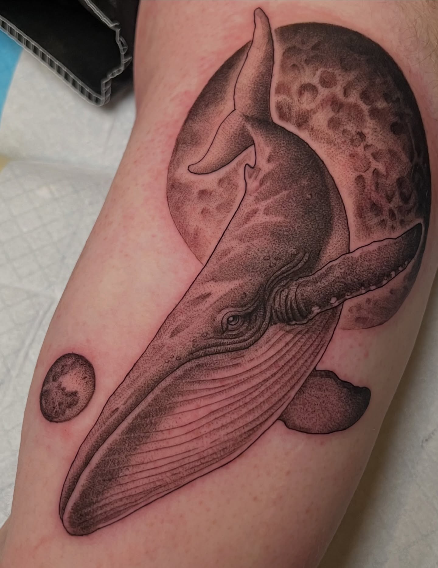 Whale and moon fine line tattoo on the forearm by Millie, Maryville, Tennessee