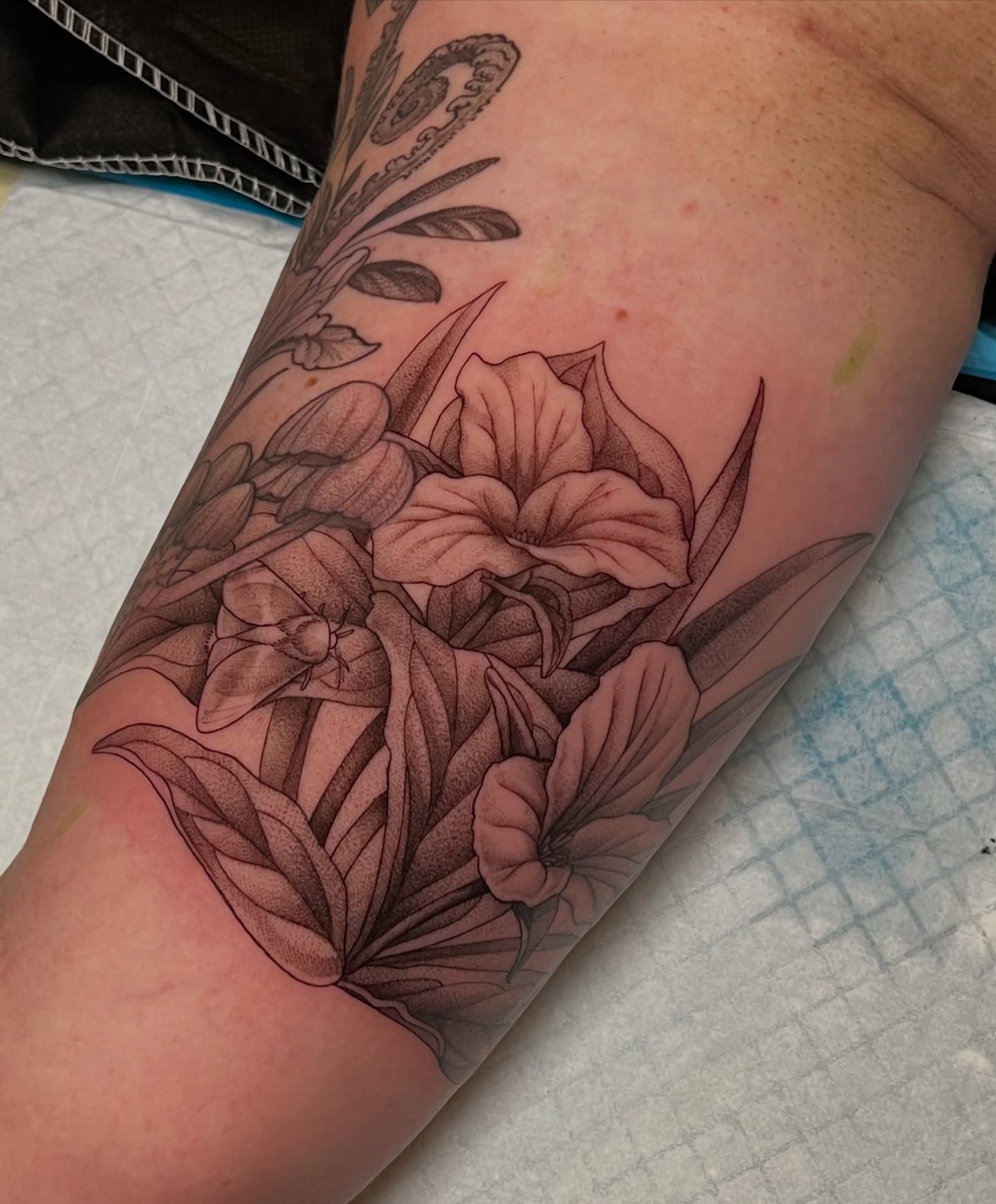 Tattoo by @girlwiththefoxtattoo — black_and_grey, realism