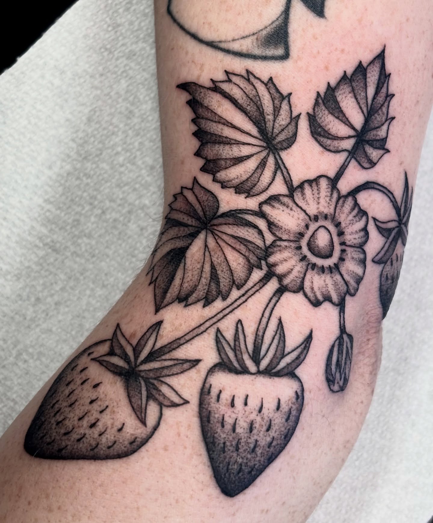 Strawberries and flowers black and grey tattoo on the forearm by ✨madison✨, Portland, Oregon
