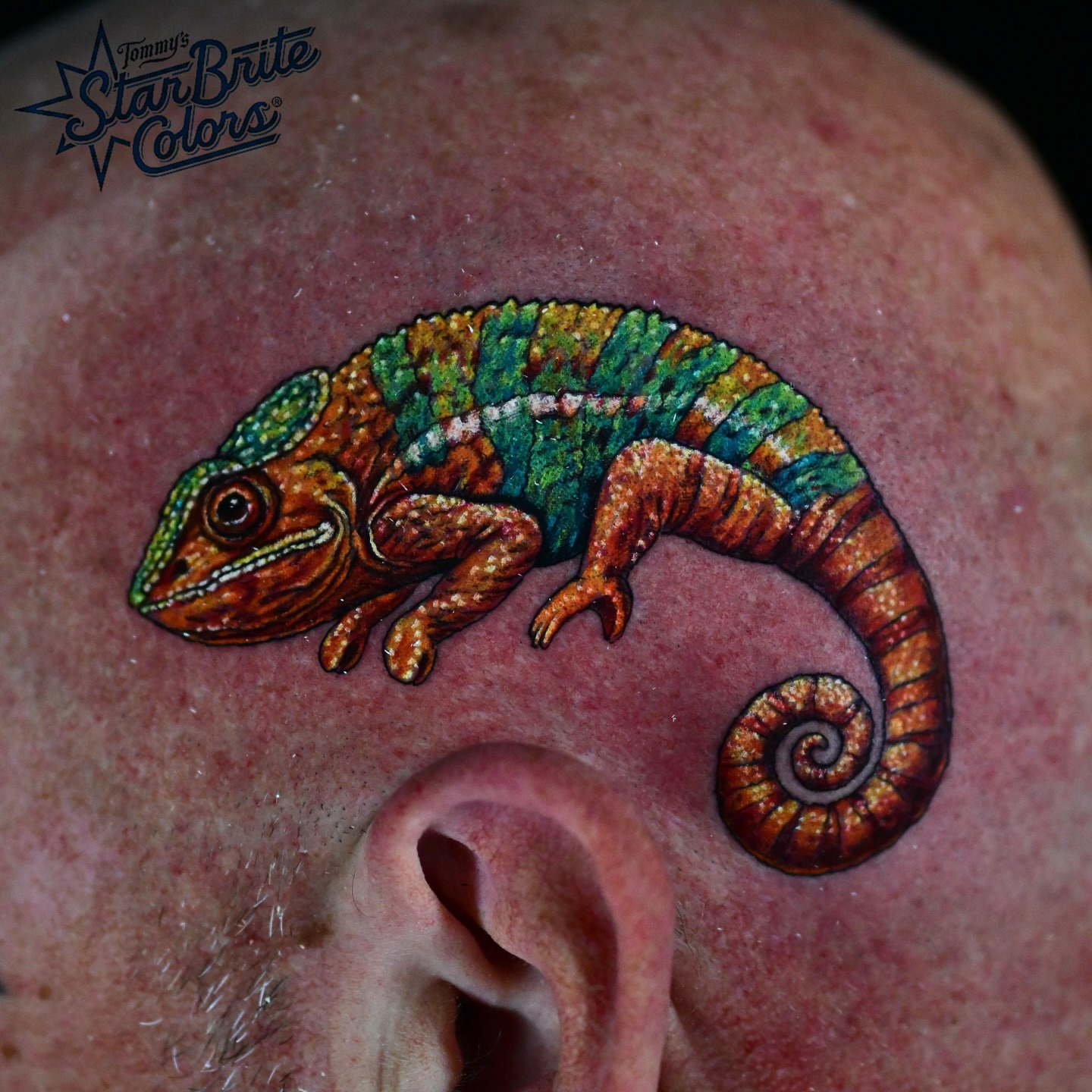 Chameleon realism tattoo on the shoulder by Sean OHara