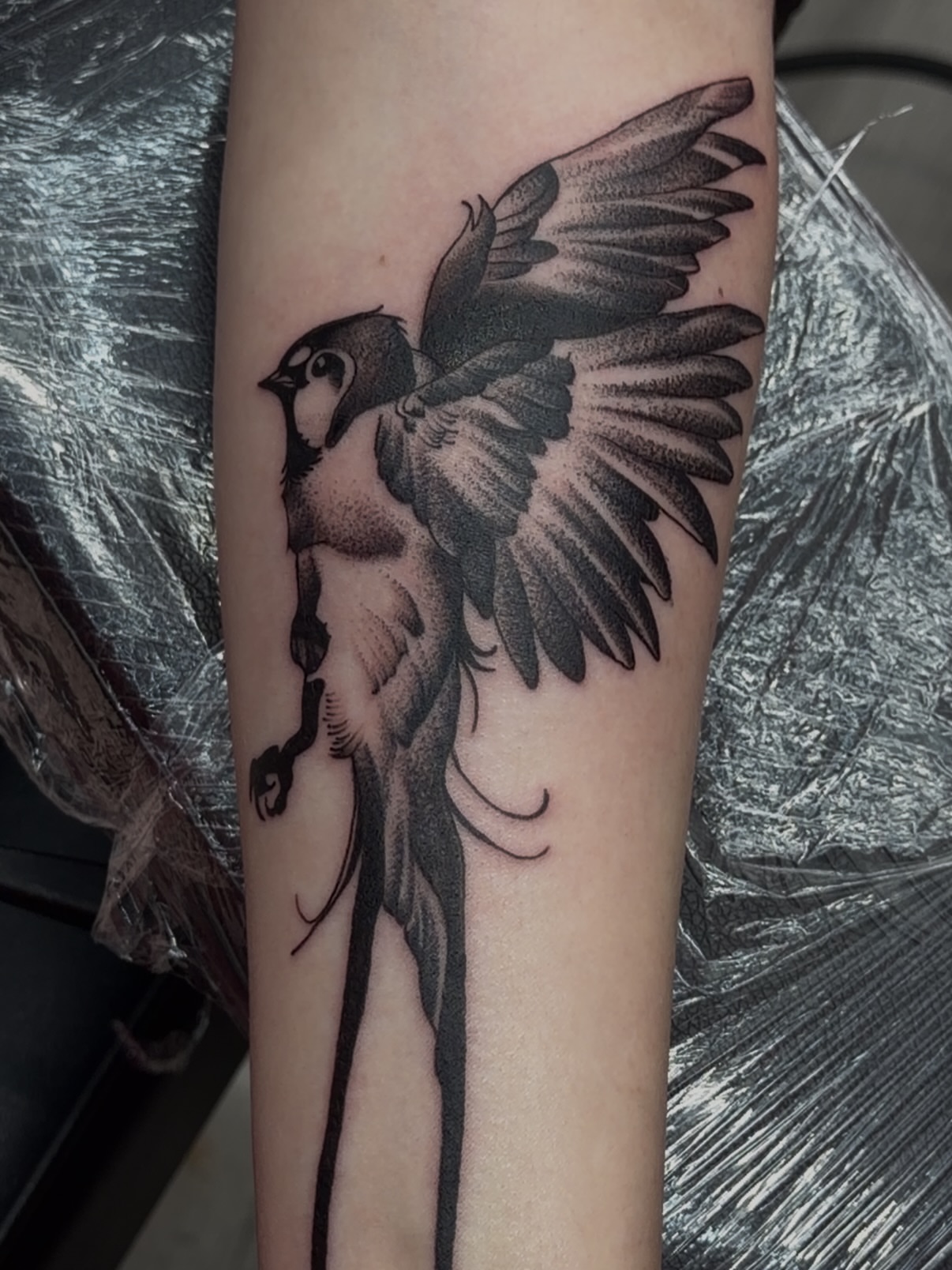 Tattoo by @tatsbycurtii — dotwork