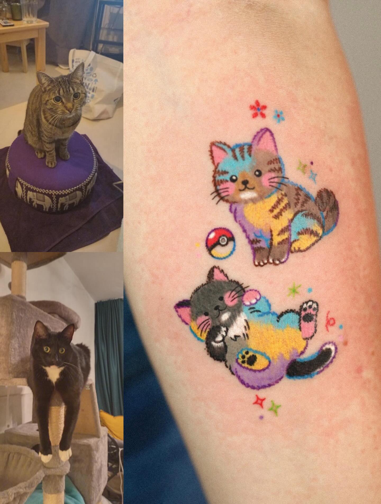 Cats dotwork tattoo on the forearm by Kettle🤍케틀