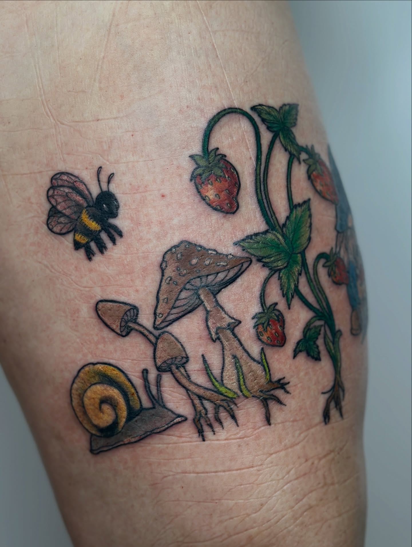 Strawberries, mushrooms, snail, bee American traditional tattoo on the thigh by Gabrielle Brodman 🎀 Raleigh-Durham Tattoo