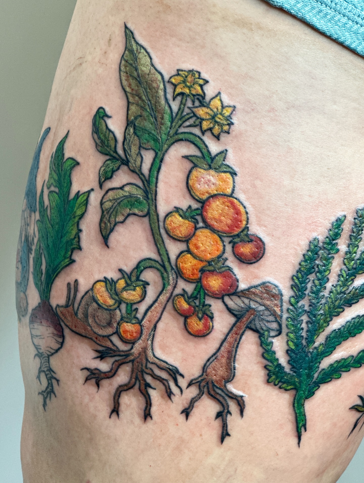 Tomato plant realism tattoo on the thigh by Gabrielle Brodman 🎀 Raleigh-Durham Tattoo