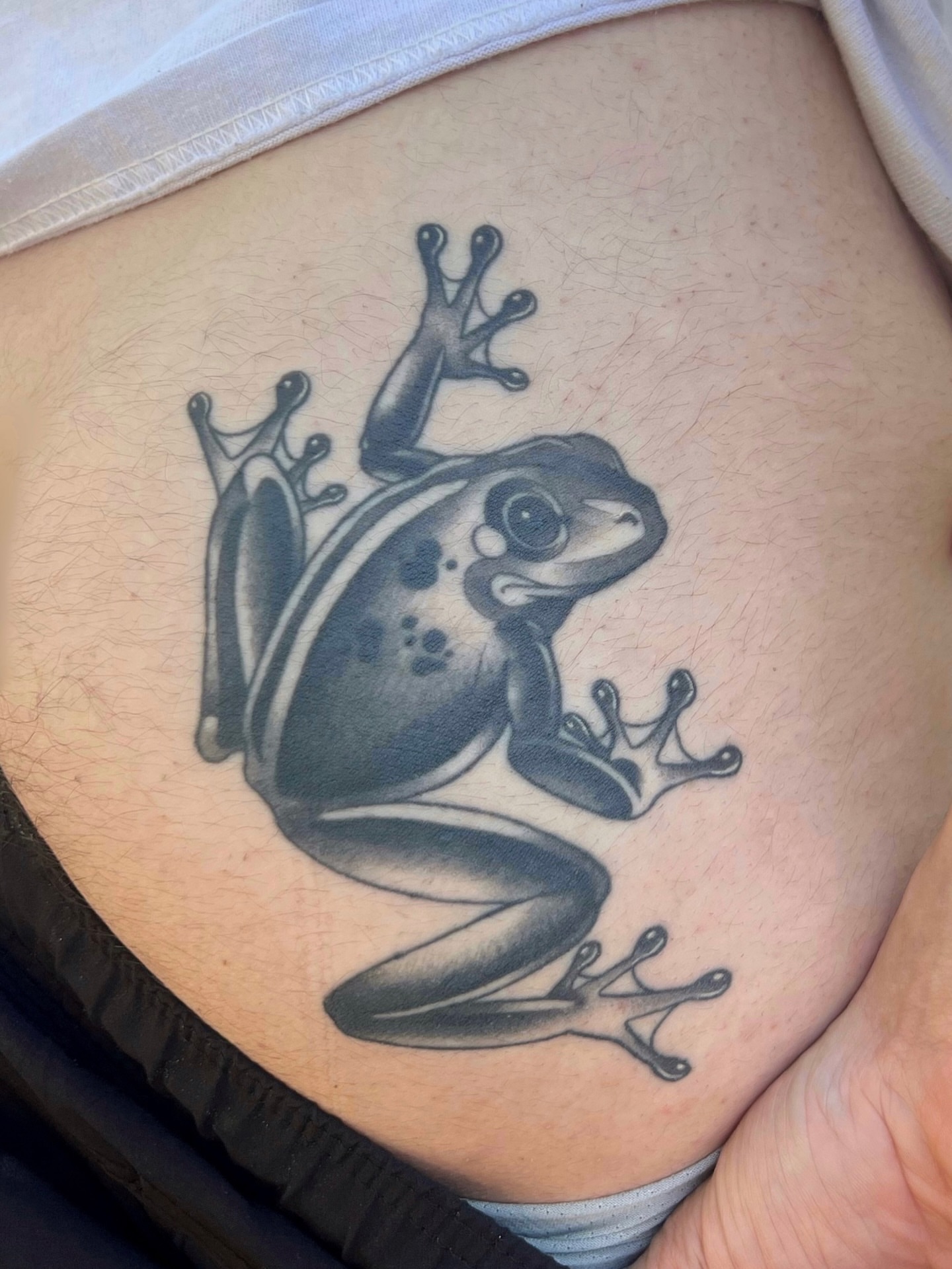 Frog black and grey tattoo on the ribs by zoey sage ✦