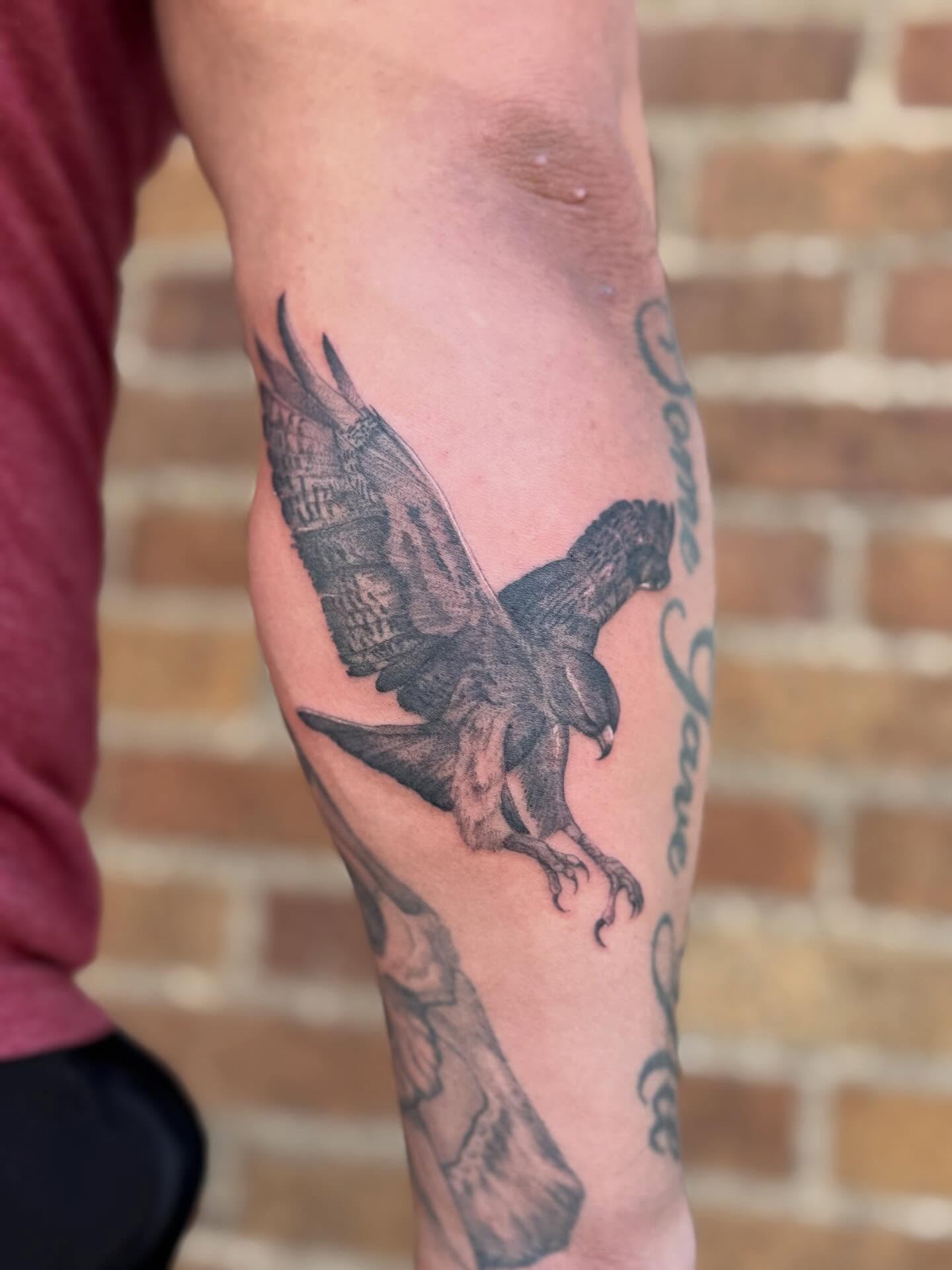 Falcon black and grey tattoo on the forearm by Dre