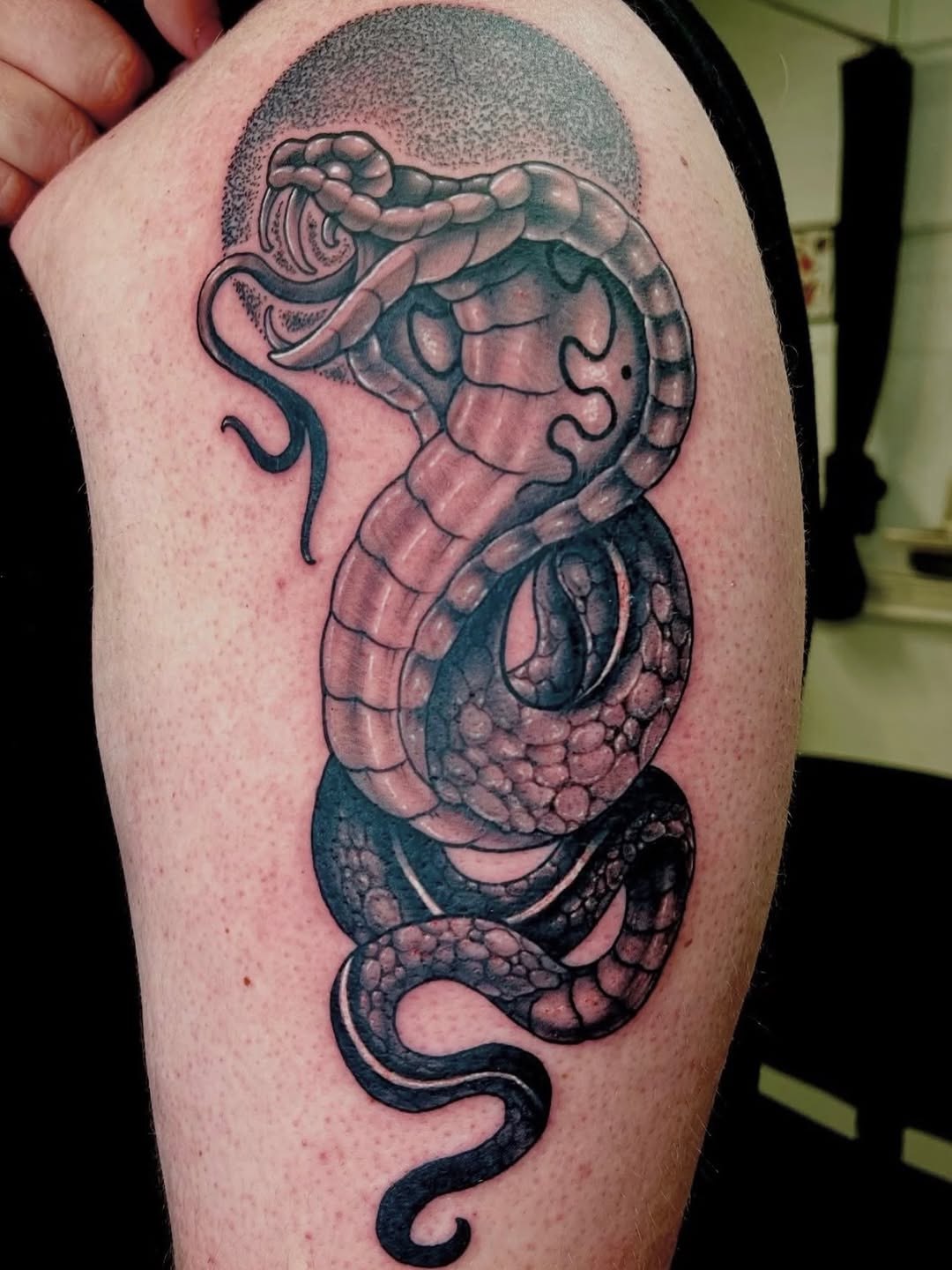 Cobra snake American traditional tattoo on the thigh by Joseph Kuma Warren, Memphis, Tennessee