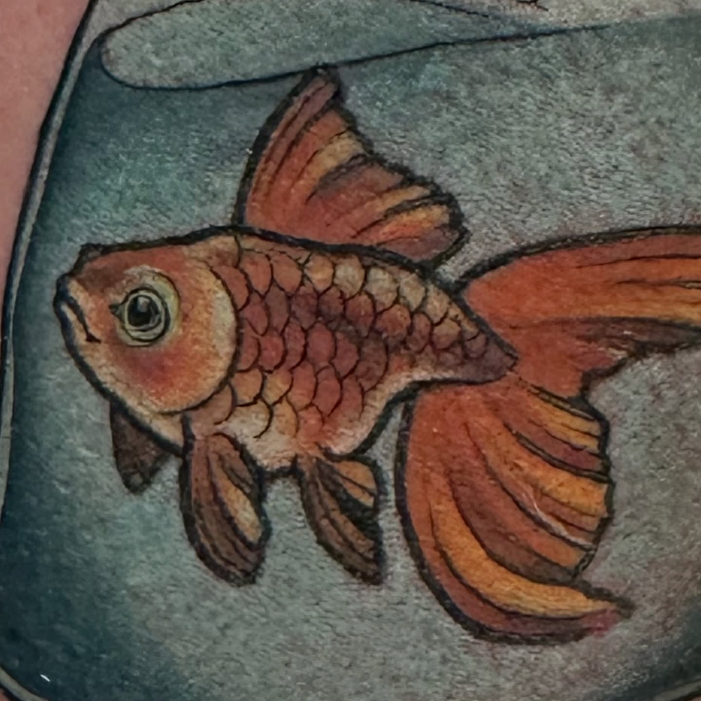 Goldfish realism tattoo by Katie Hutchins, Dayton, Ohio