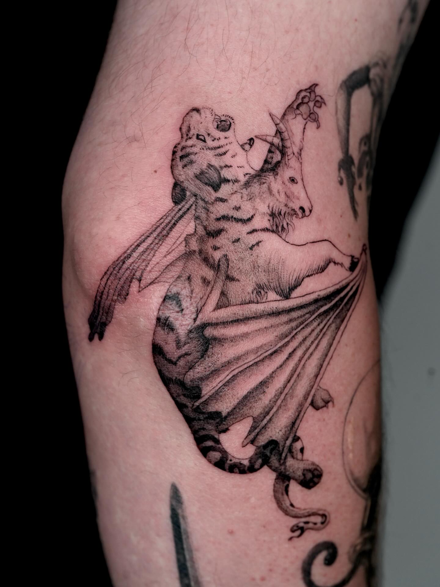 Mythical creature realism tattoo on the forearm by Andrew Flatts