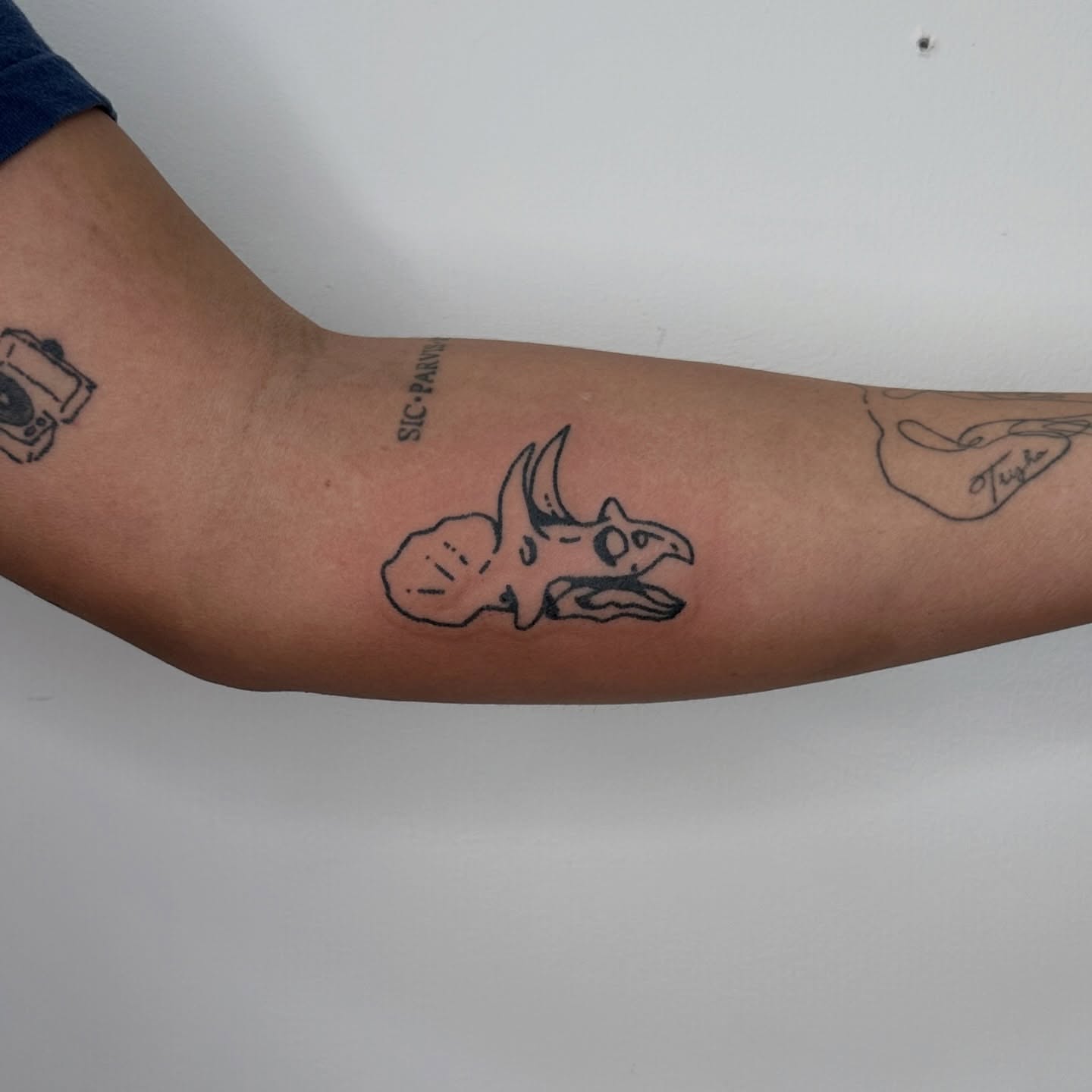 Triceratops skull black and grey tattoo on the forearm by paulina
