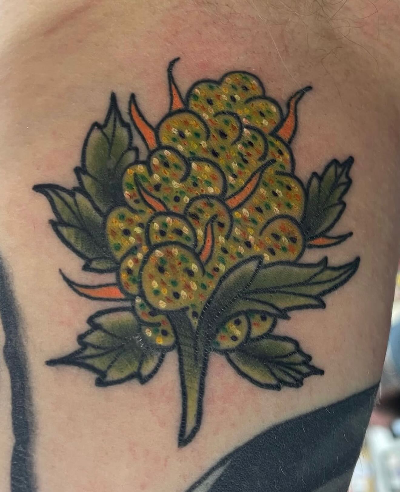 Clustered berries American traditional tattoo on the shoulder by Zach Eden
