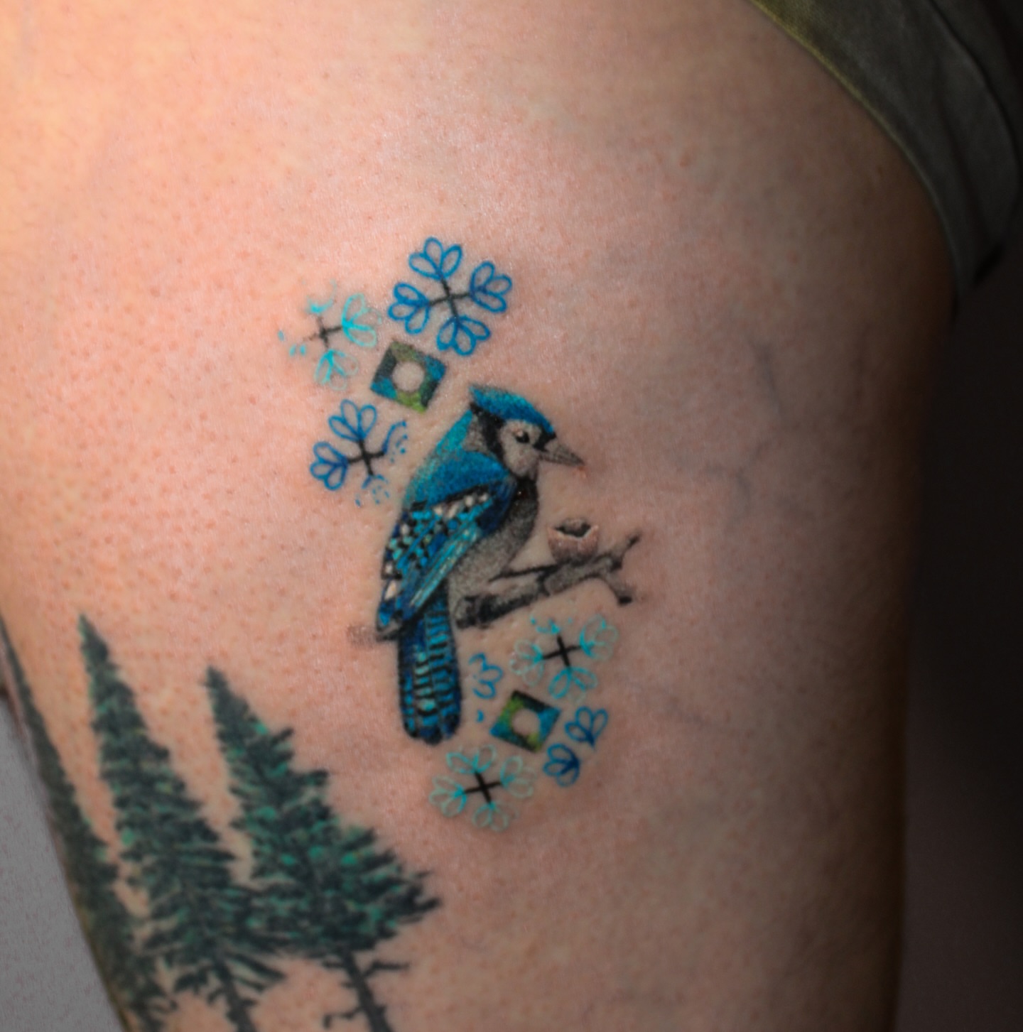 Blue jay realism tattoo on the upper arm by Micah Light (color micro realism, Los Angeles, California