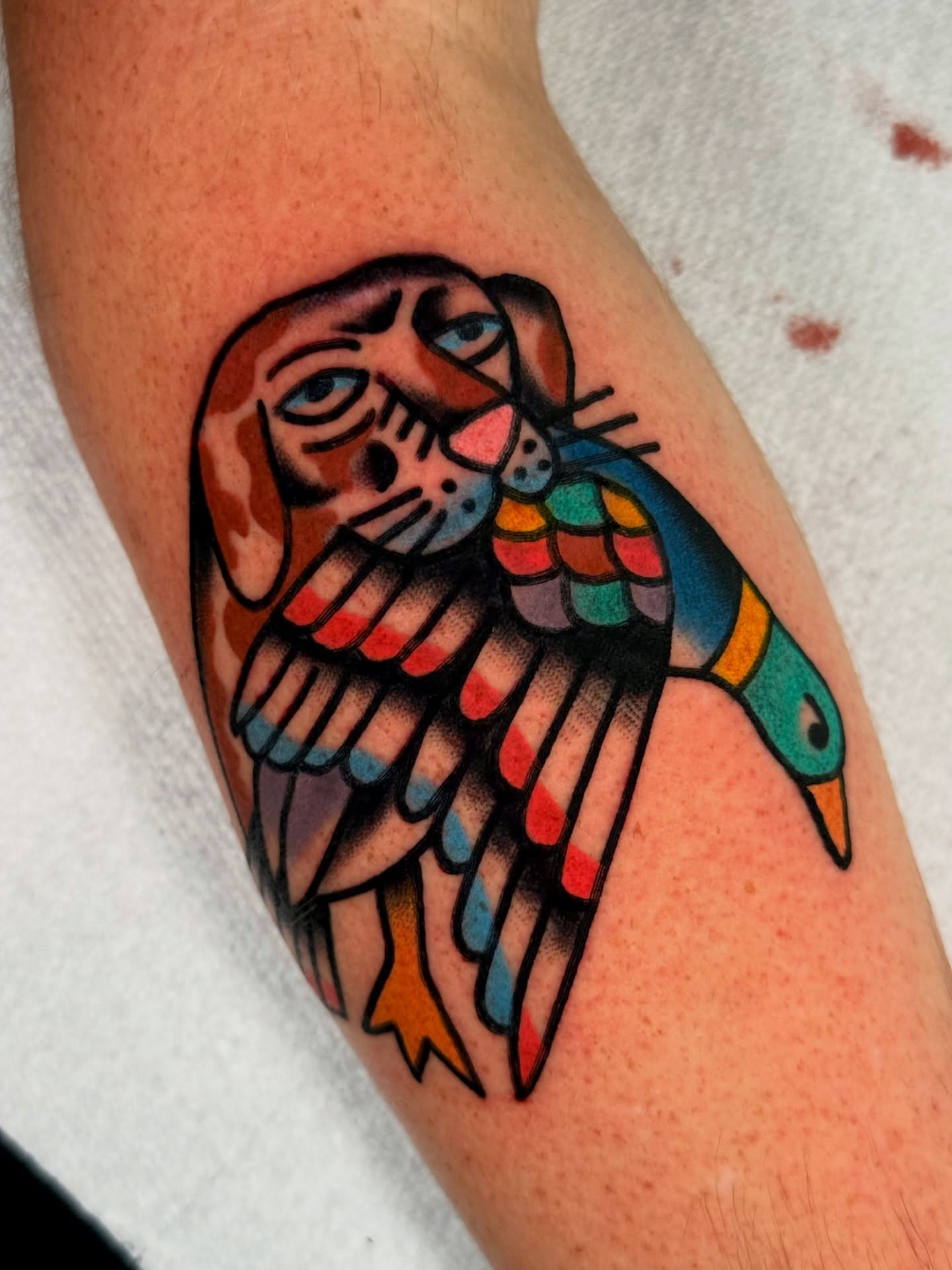 Cat and bird American traditional tattoo on the forearm by {{Theo Glanton}}