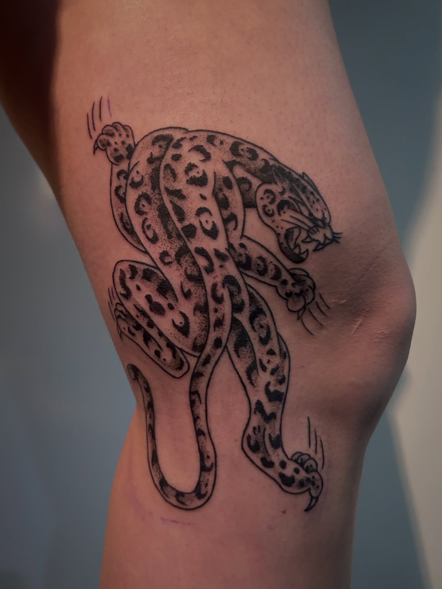 Clouded leopard black and grey tattoo on the thigh by キノ 🦊