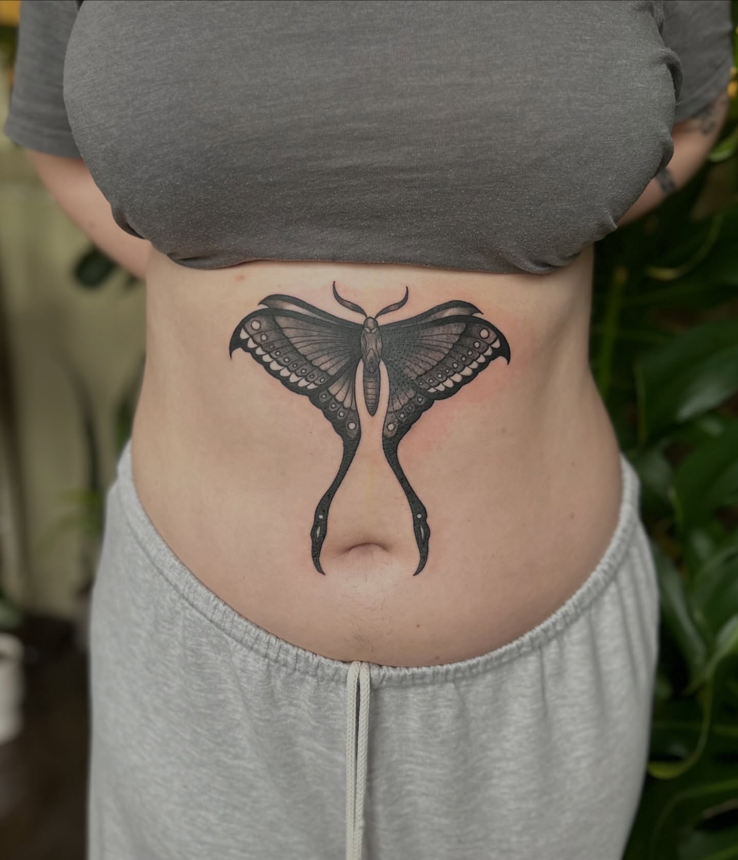 Moth black and grey tattoo on the torso by Ransom