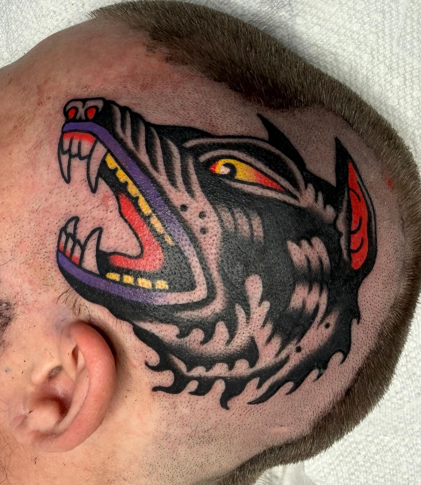 Roaring tiger American traditional tattoo on the head by ༺tessa༻