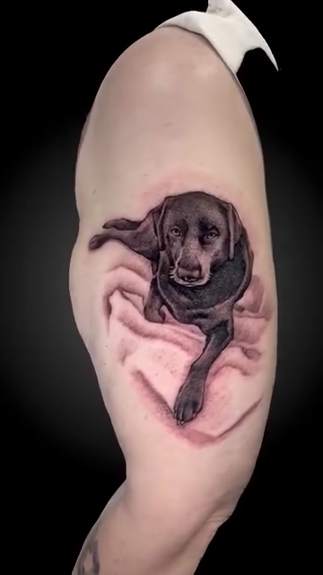Dog emerging from skin realism tattoo by Daniel Fisher, Berlin, New Jersey