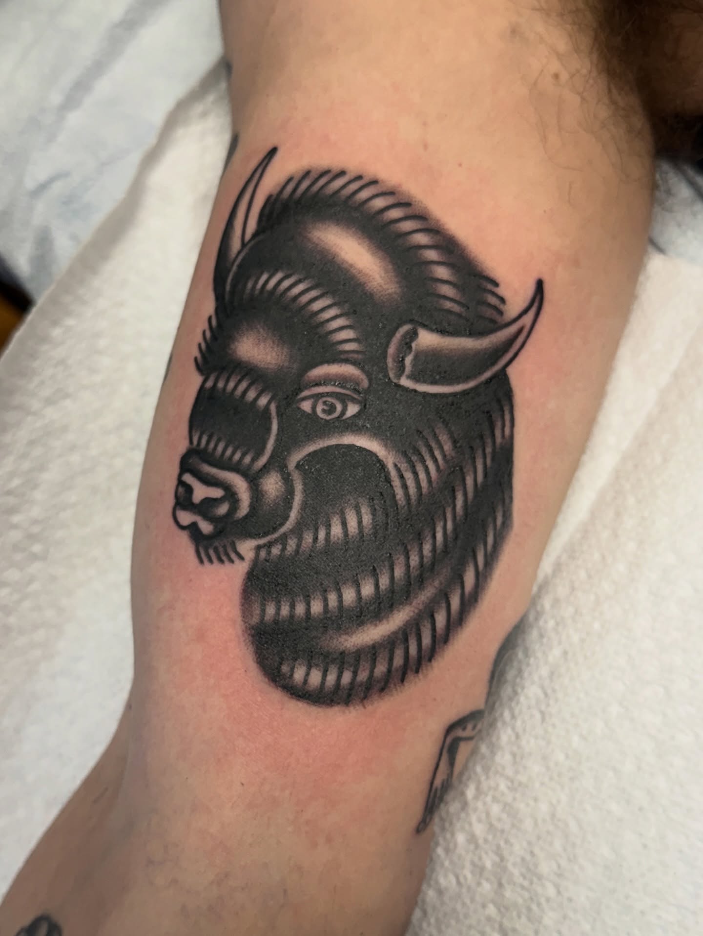 Bull head black and grey tattoo on the forearm by Shannon Pagliarini