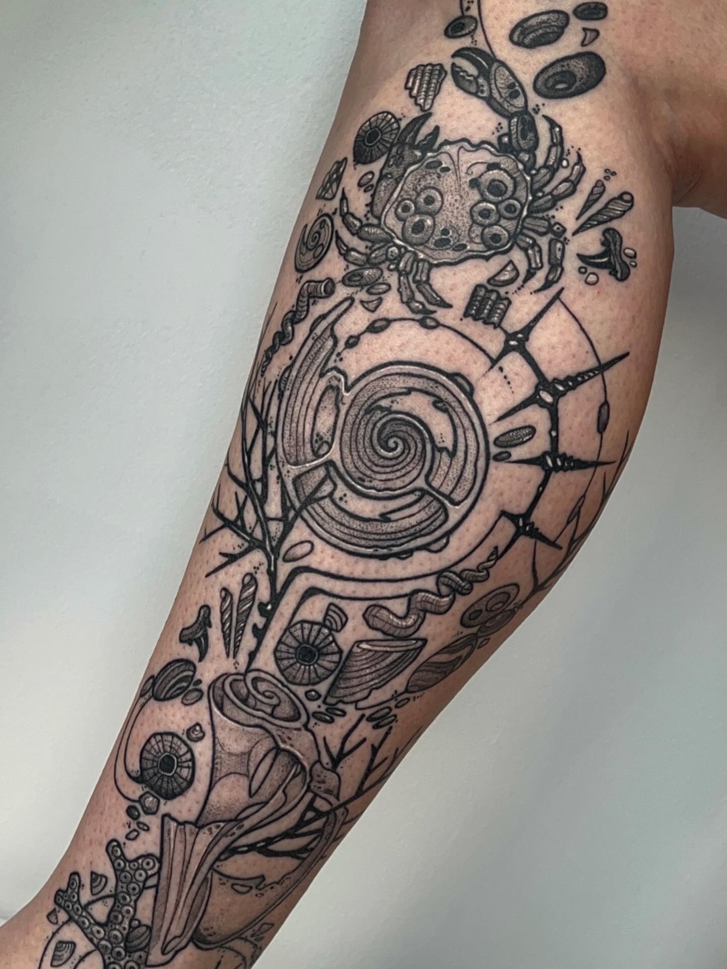 Abstract nature dotwork tattoo on the forearm by Samantha Castrovinci, Durham, North Carolina